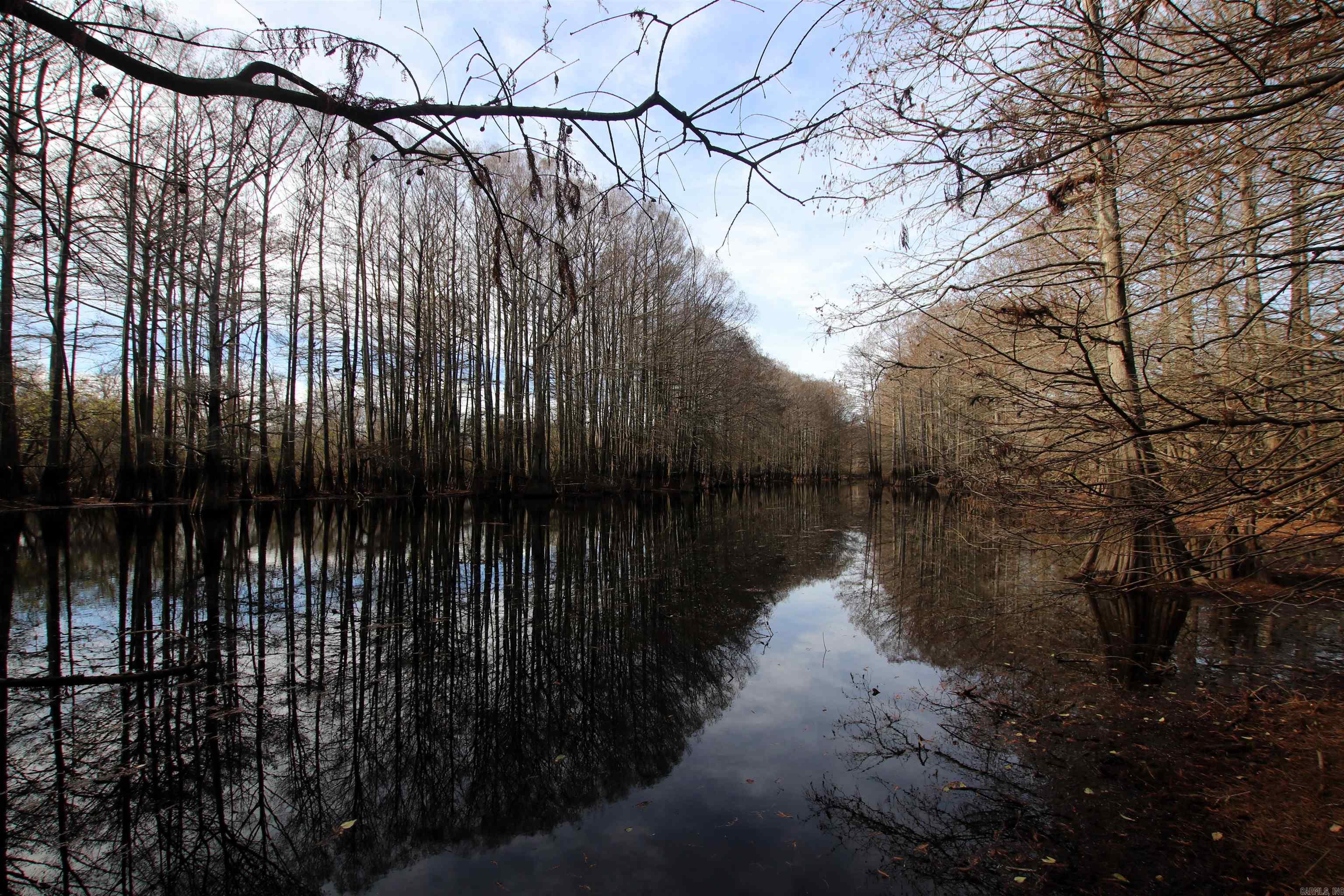 000 Case  Little Rock, AR