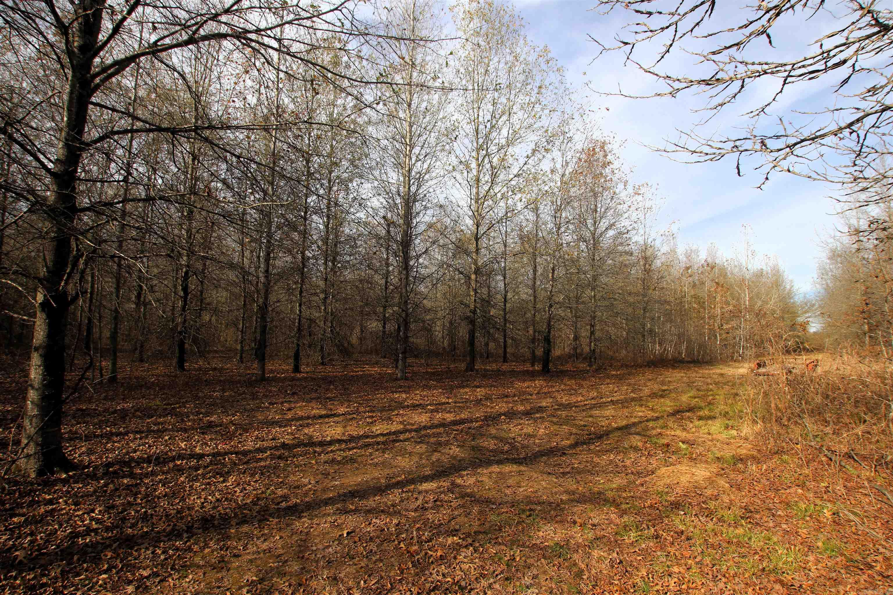 000 Case  Little Rock, AR