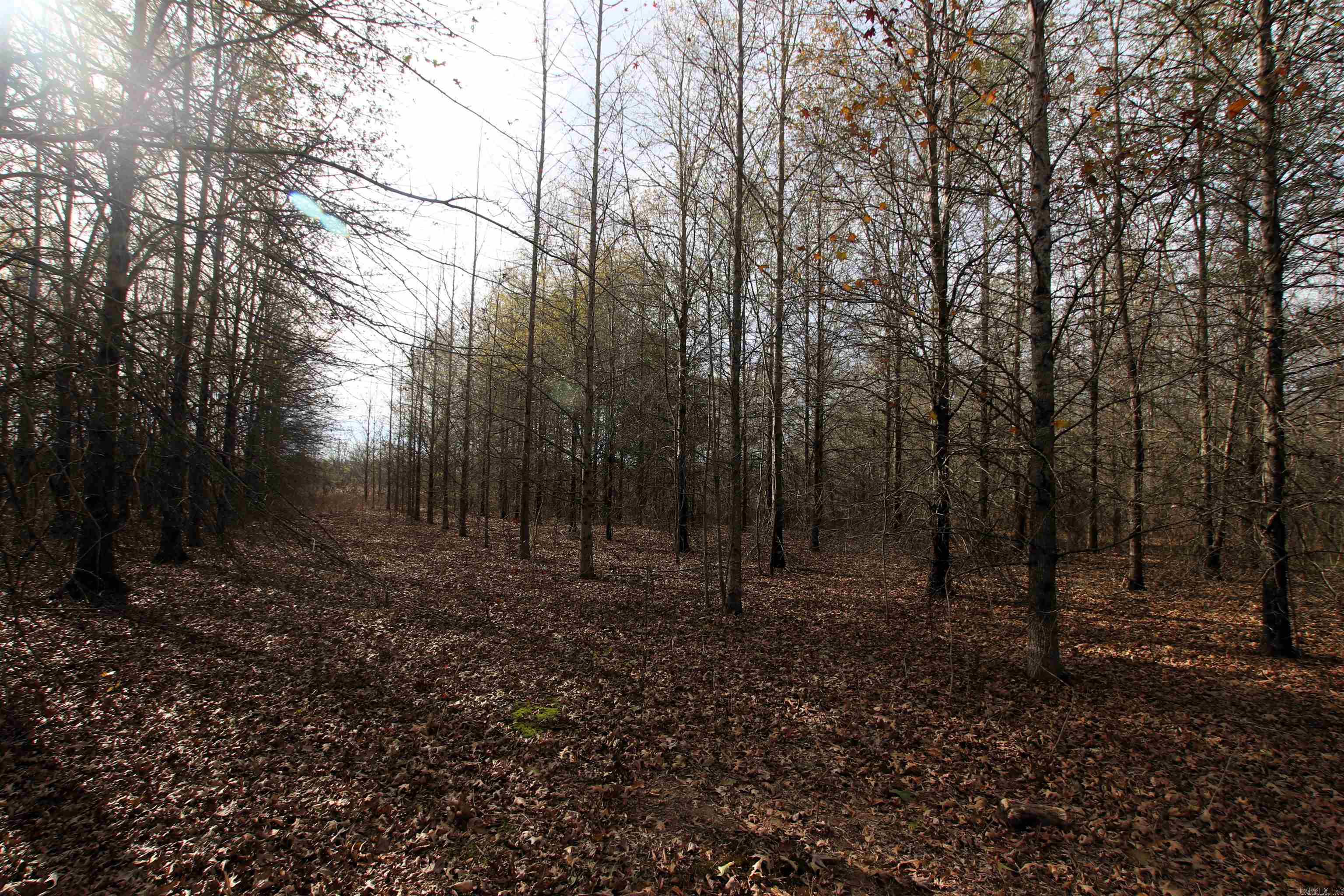 000 Case  Little Rock, AR