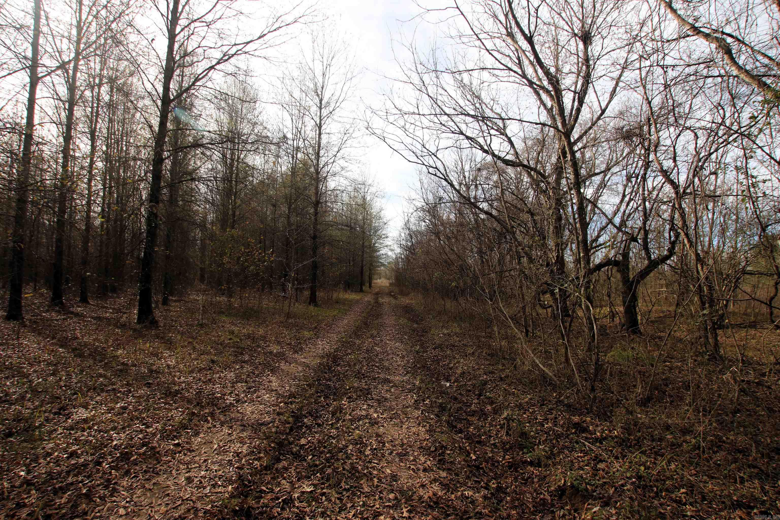 000 Case  Little Rock, AR