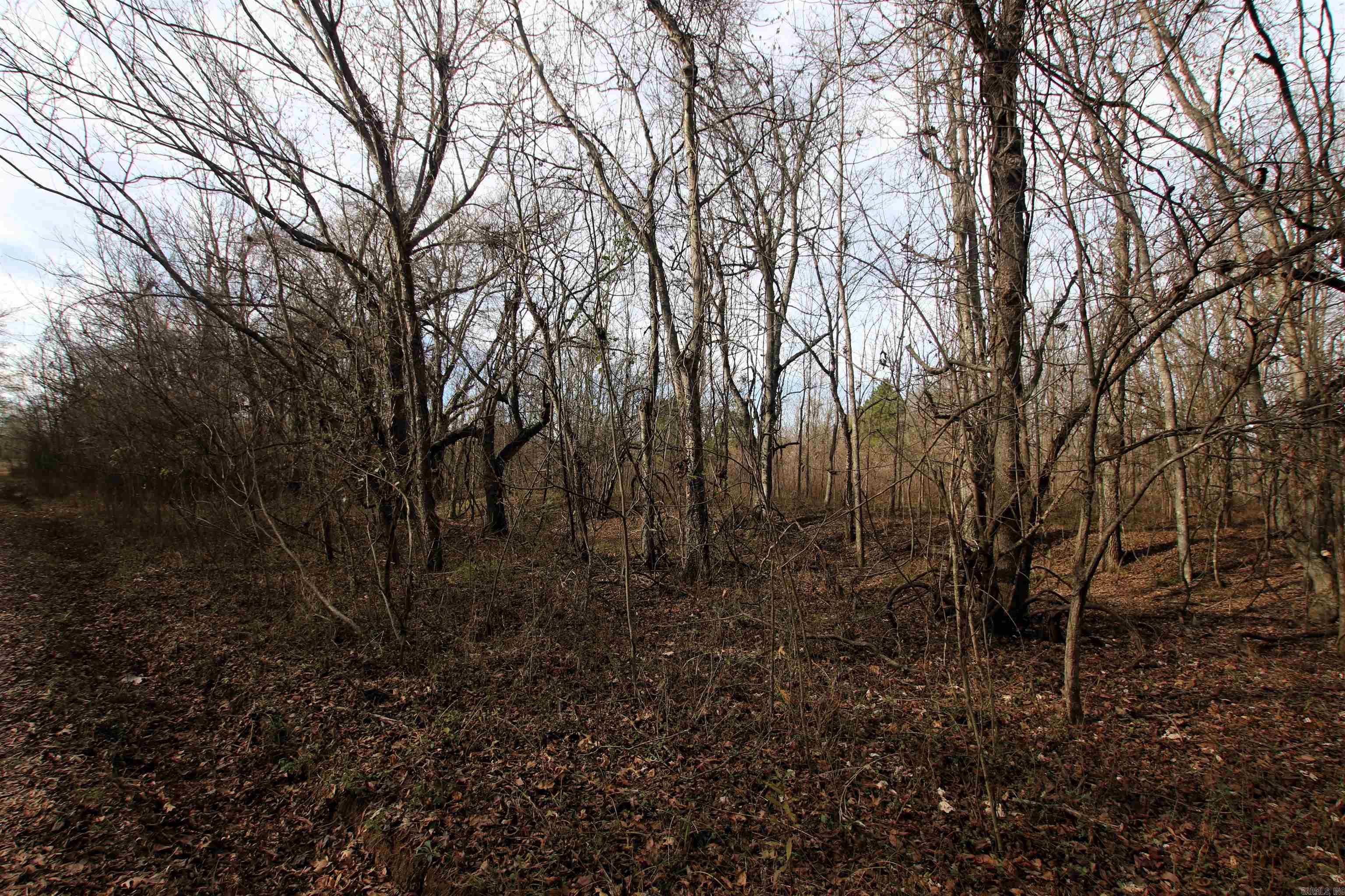 000 Case  Little Rock, AR