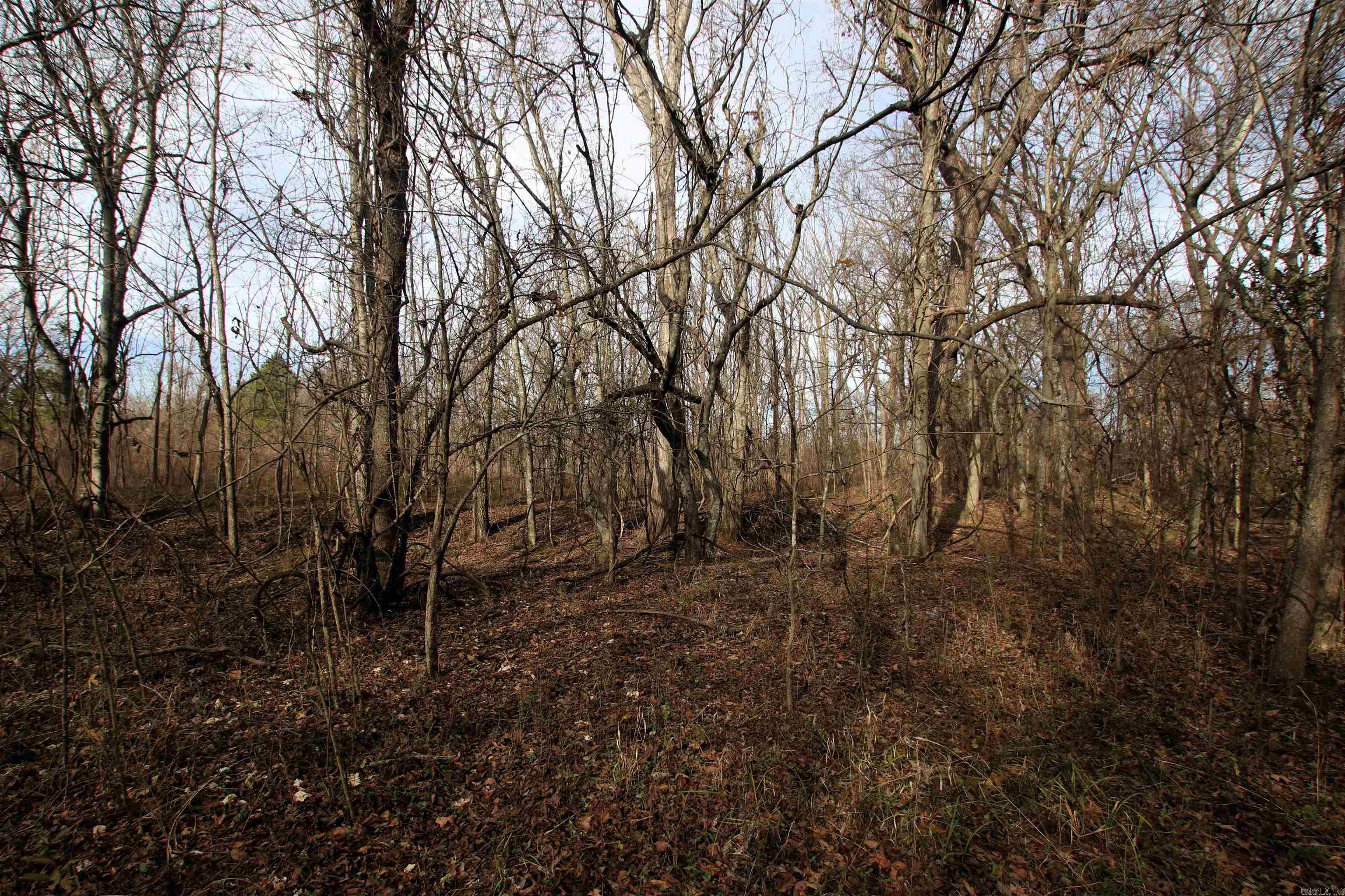 000 Case  Little Rock, AR