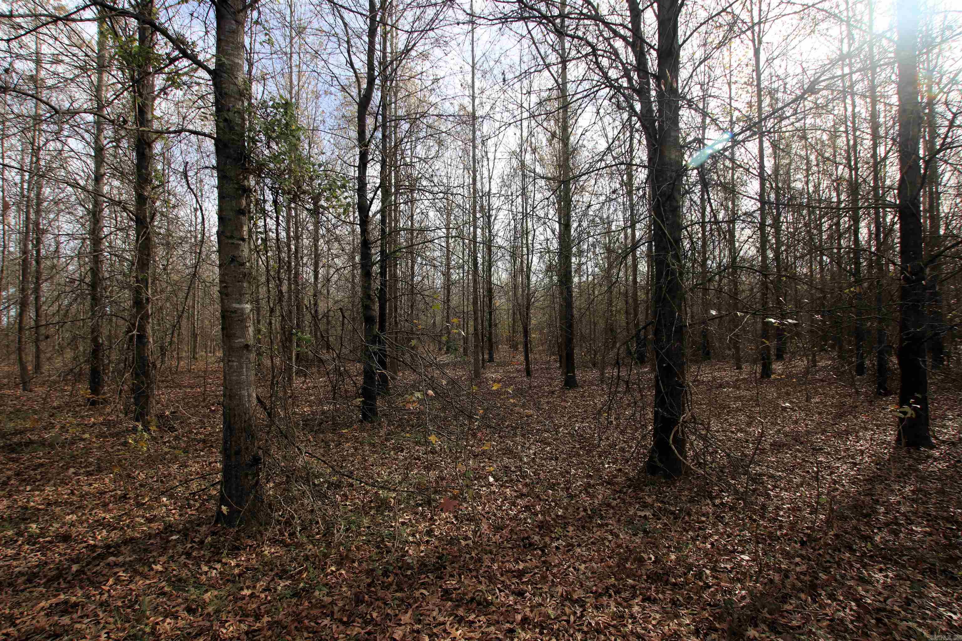 000 Case  Little Rock, AR