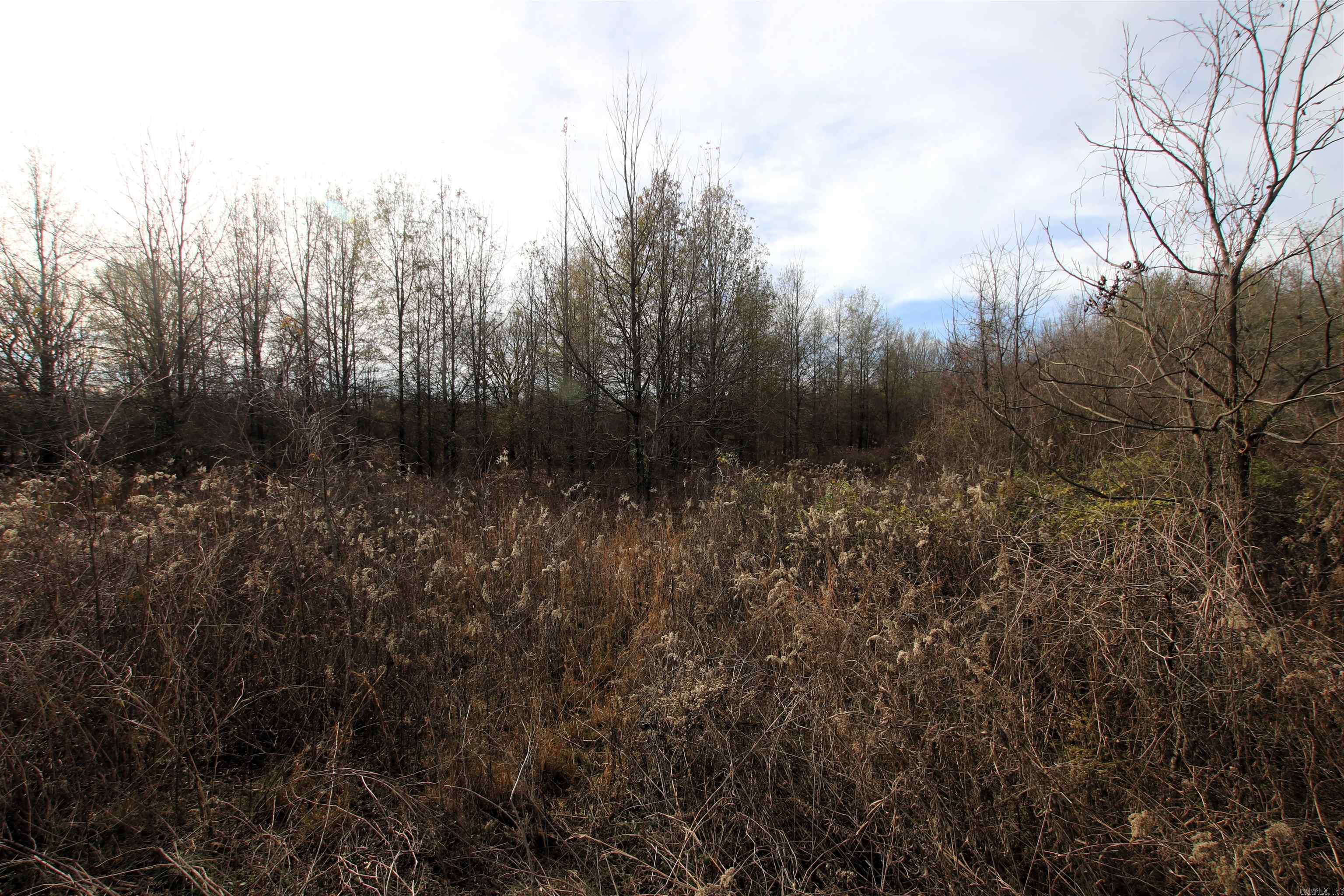 000 Case  Little Rock, AR