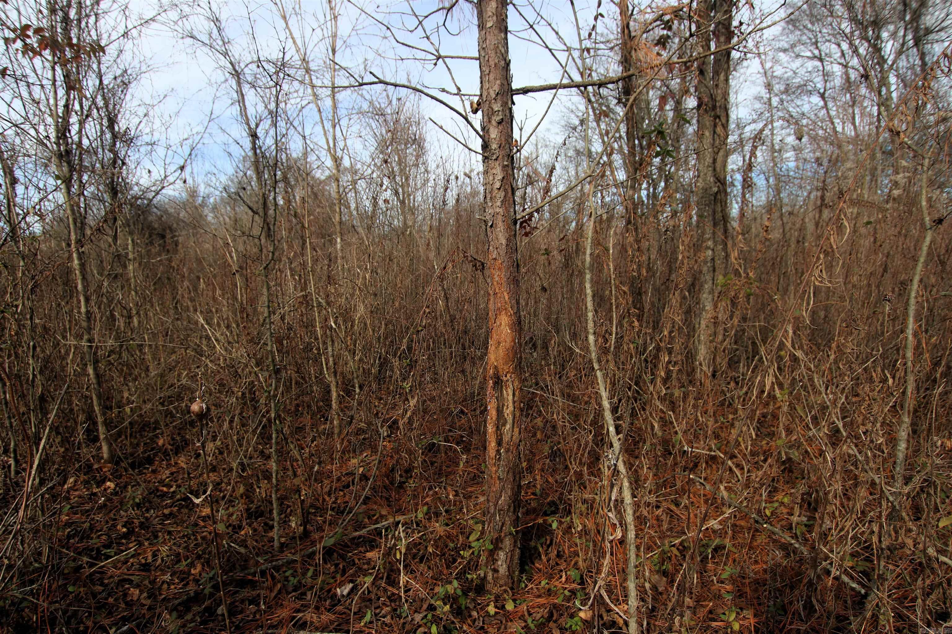 000 Case  Little Rock, AR