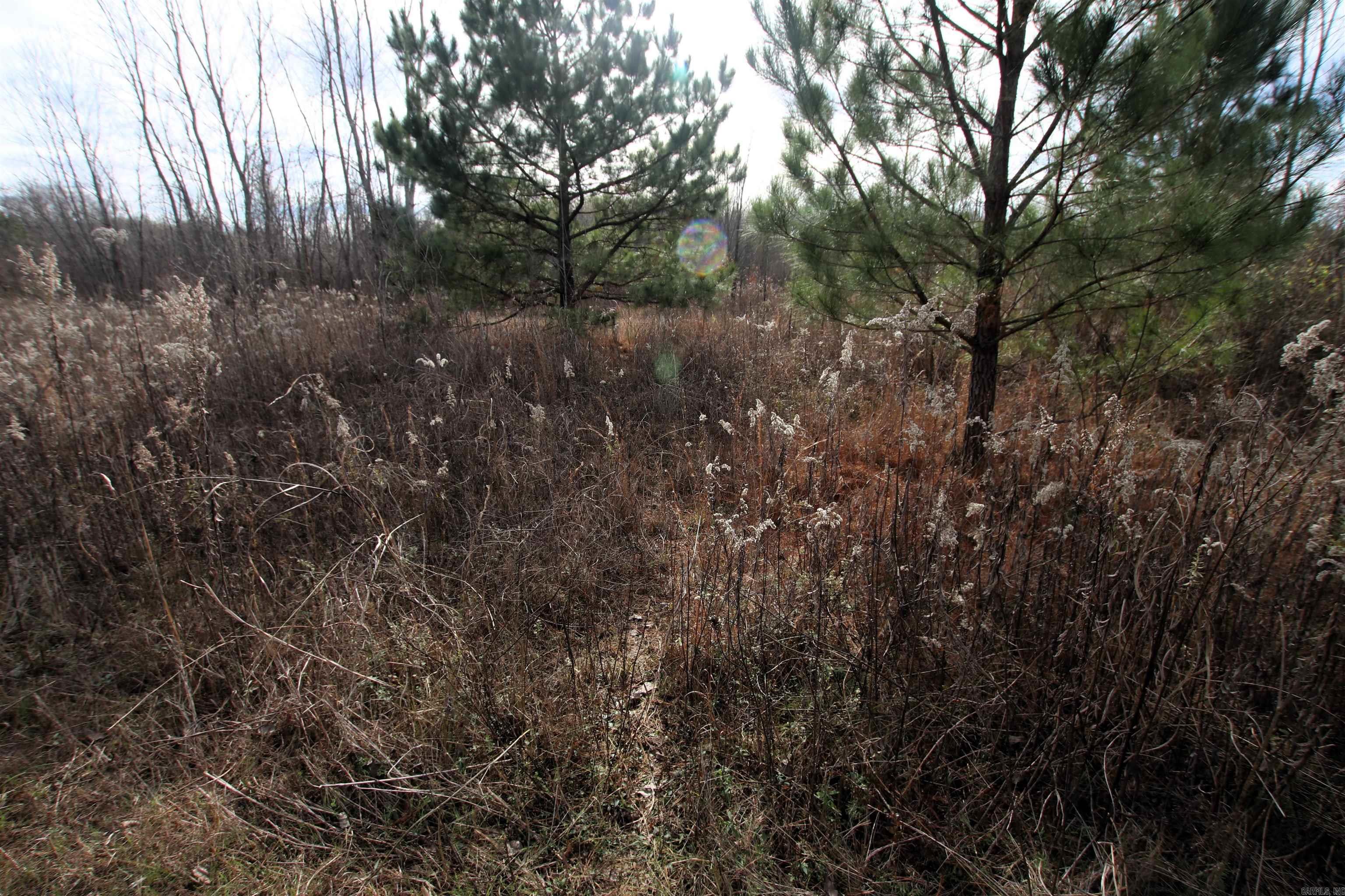 000 Case  Little Rock, AR