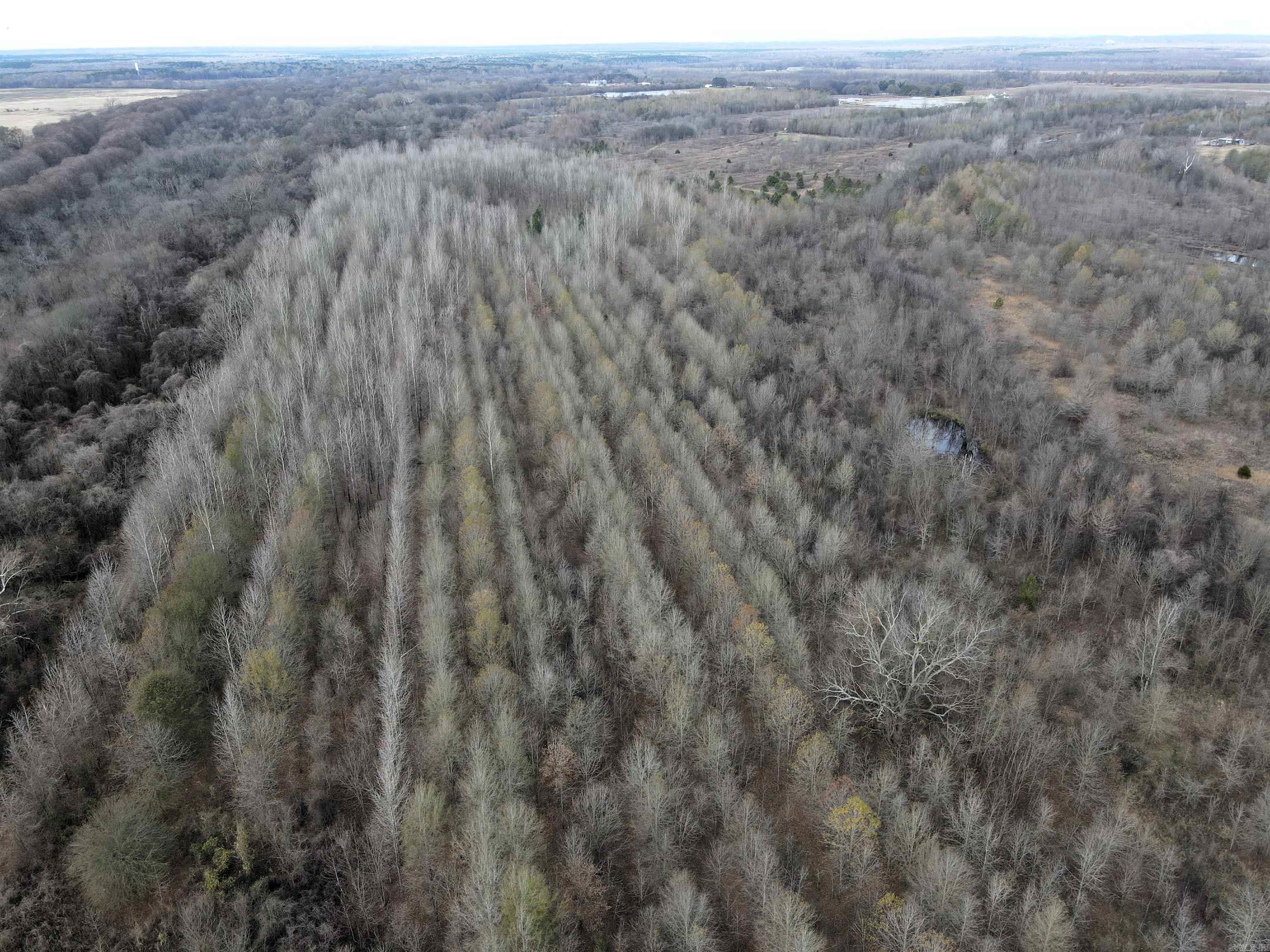 000 Case  Little Rock, AR