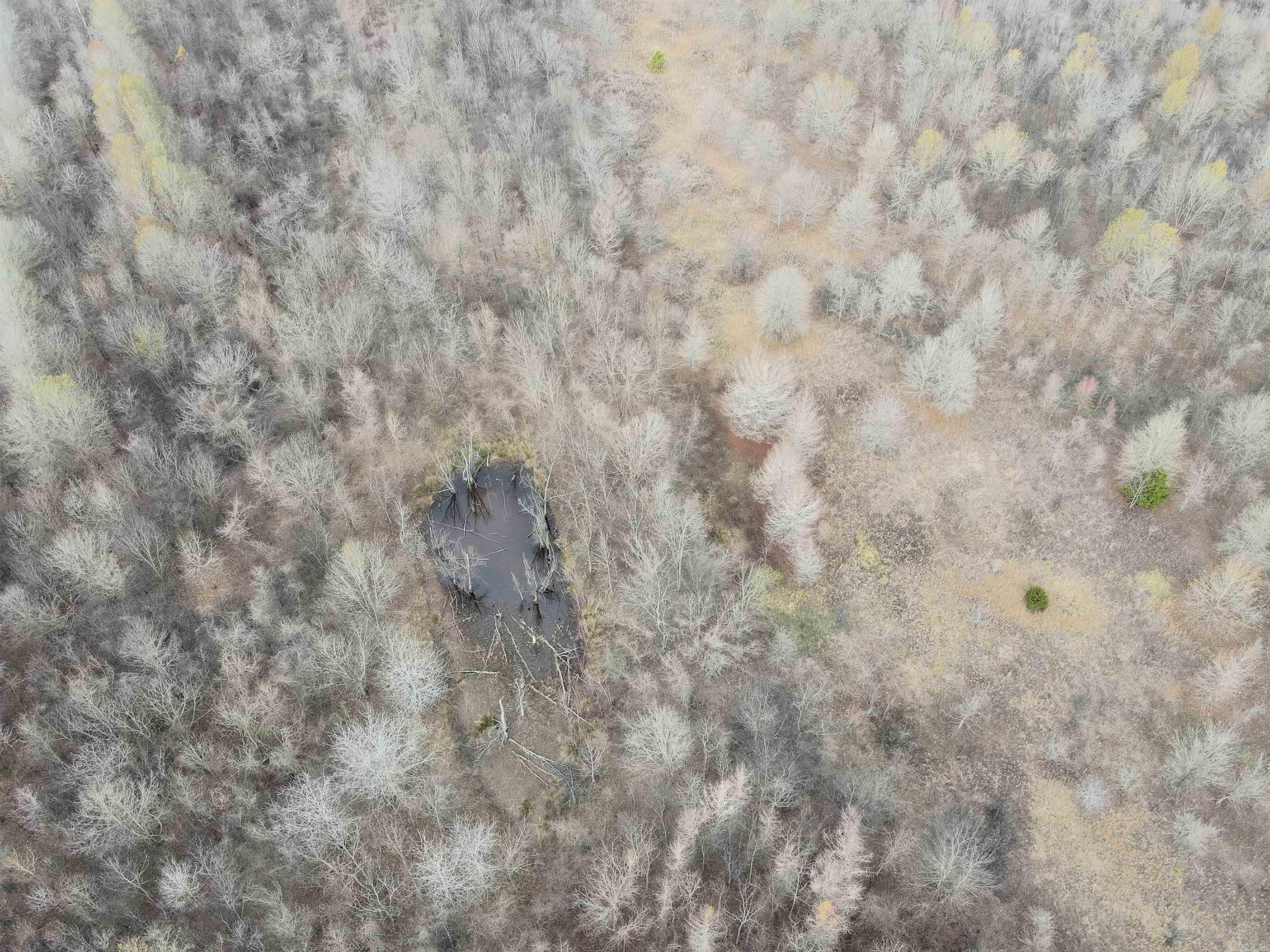 000 Case  Little Rock, AR