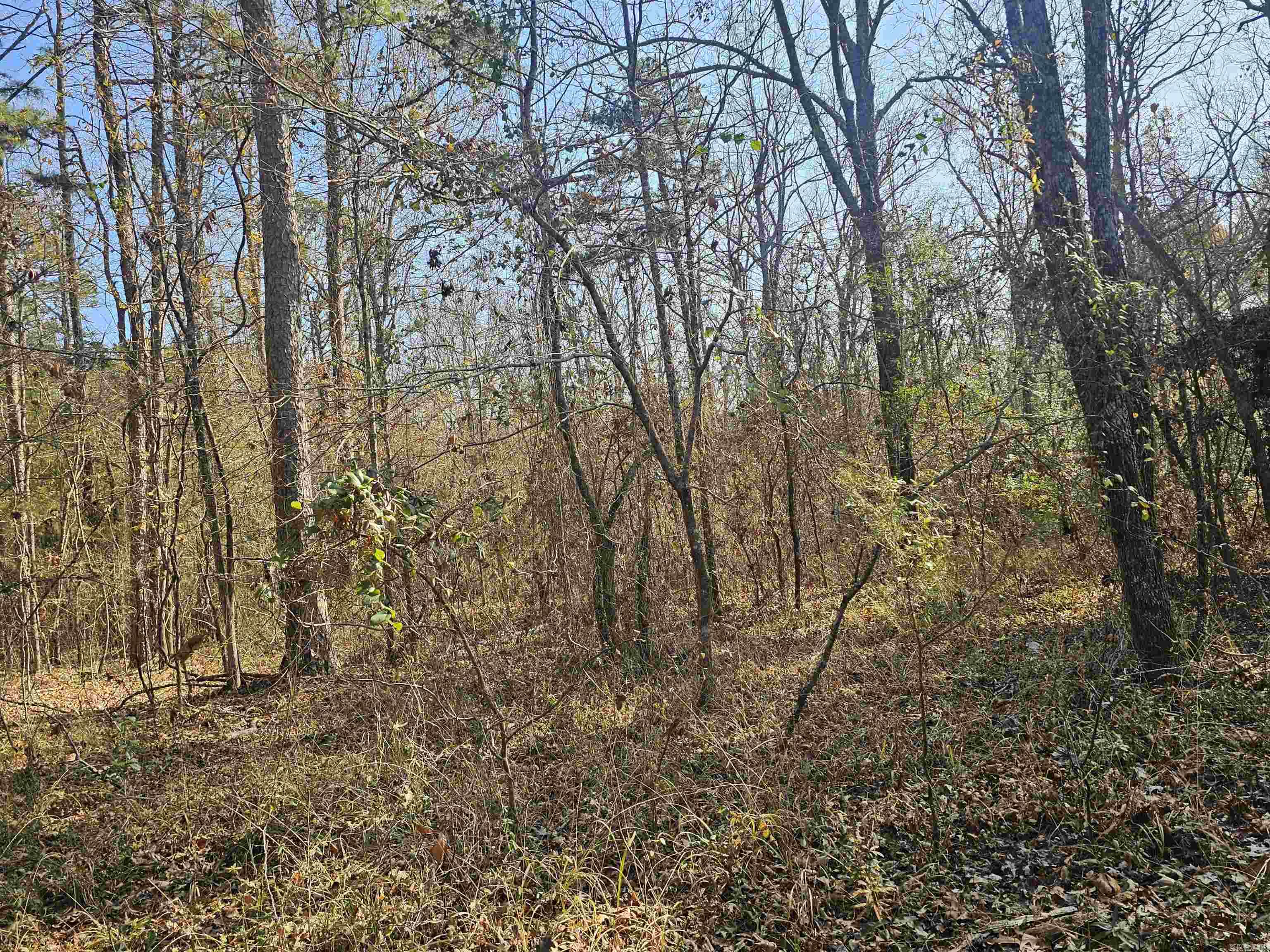 Unk Gilbert  Mena, AR