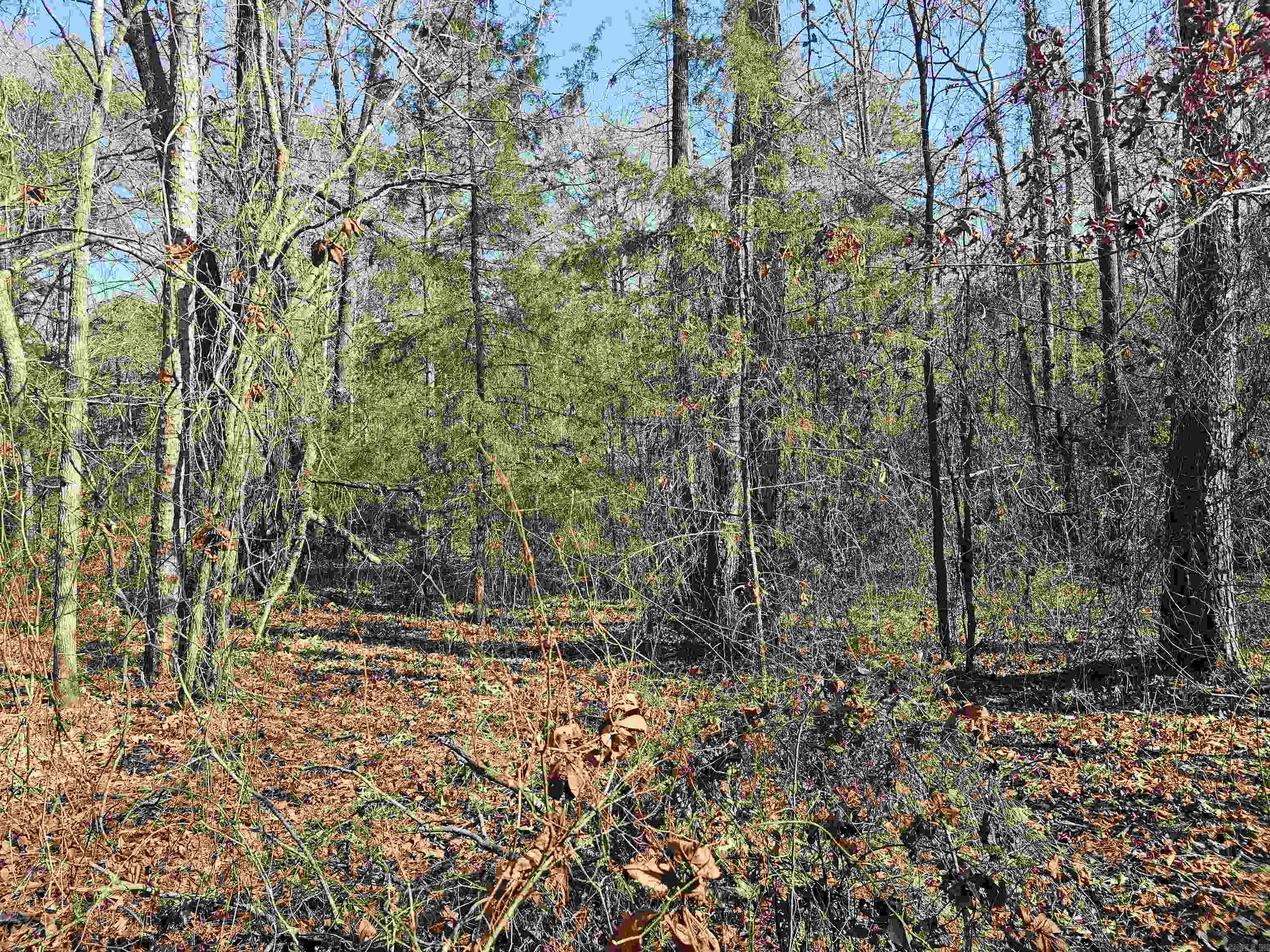 Unk Gilbert  Mena, AR