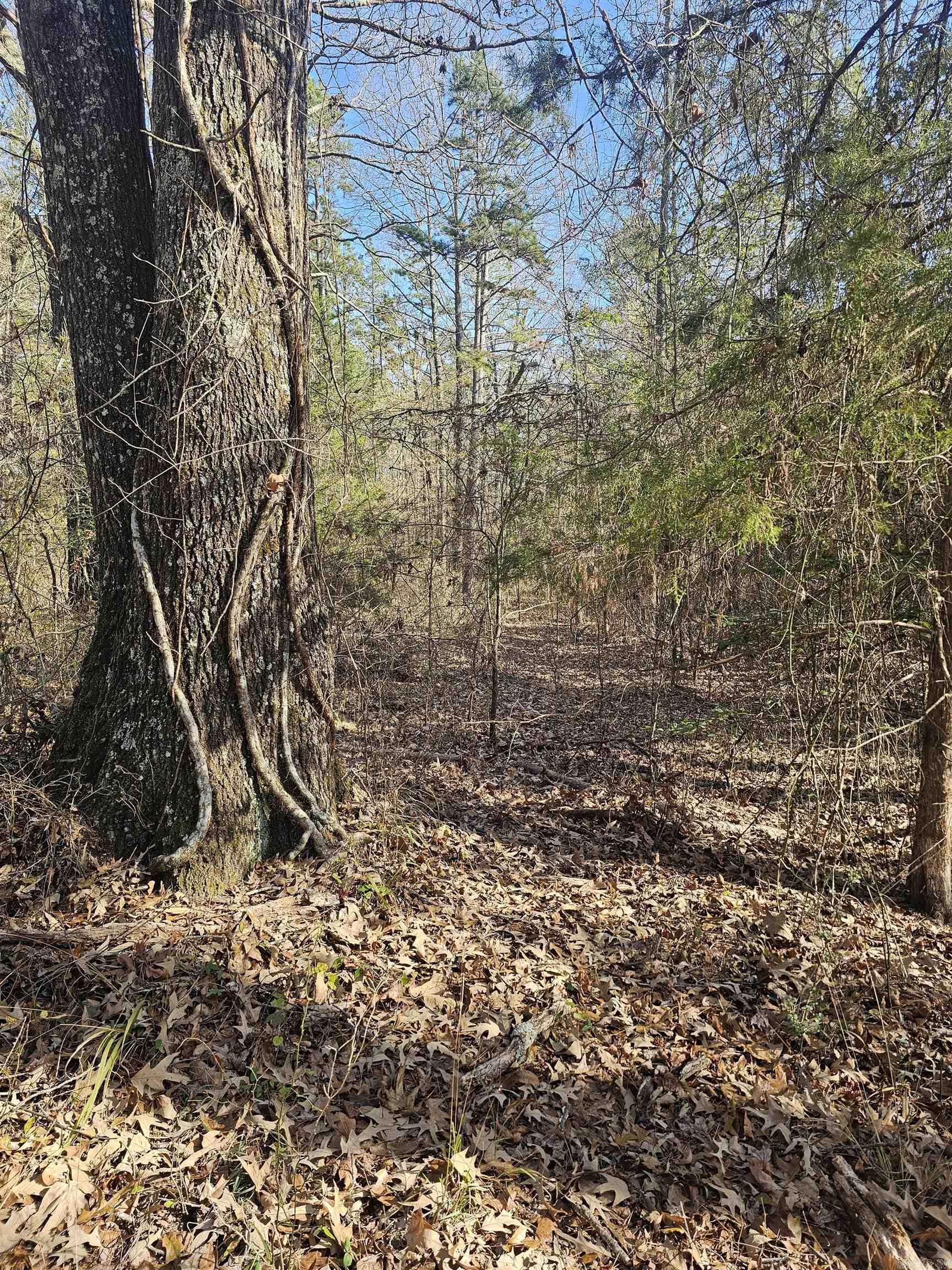 Unk Gilbert  Mena, AR