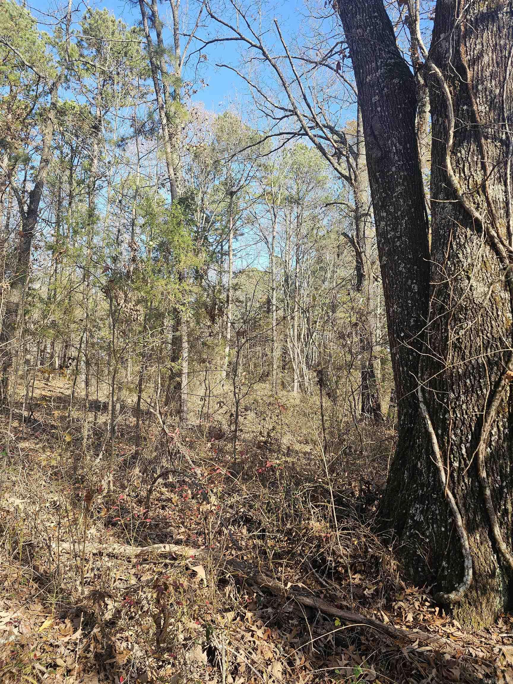 Unk Gilbert  Mena, AR