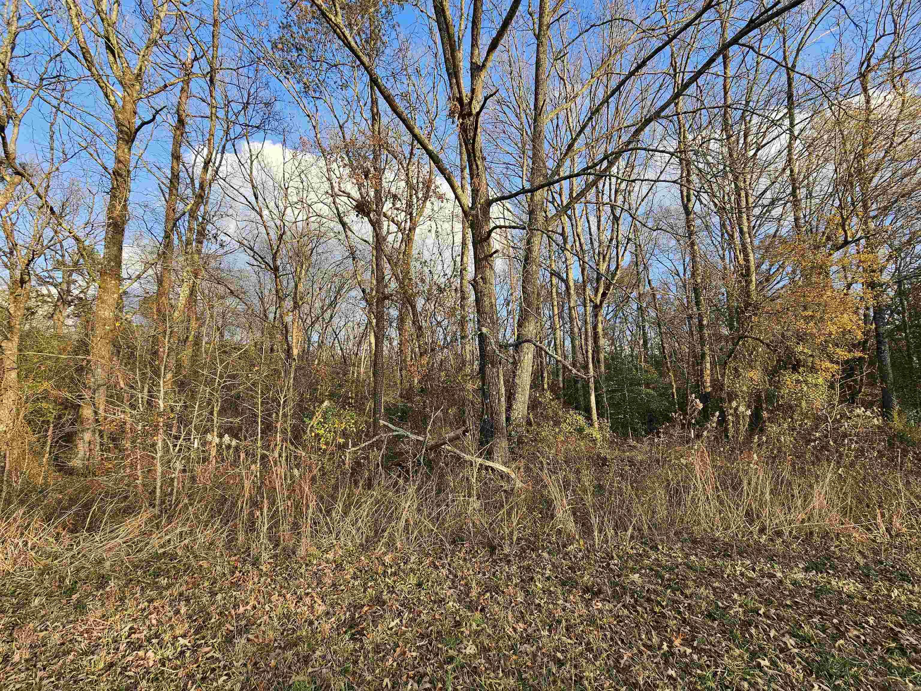 Unk Gilbert  Mena, AR