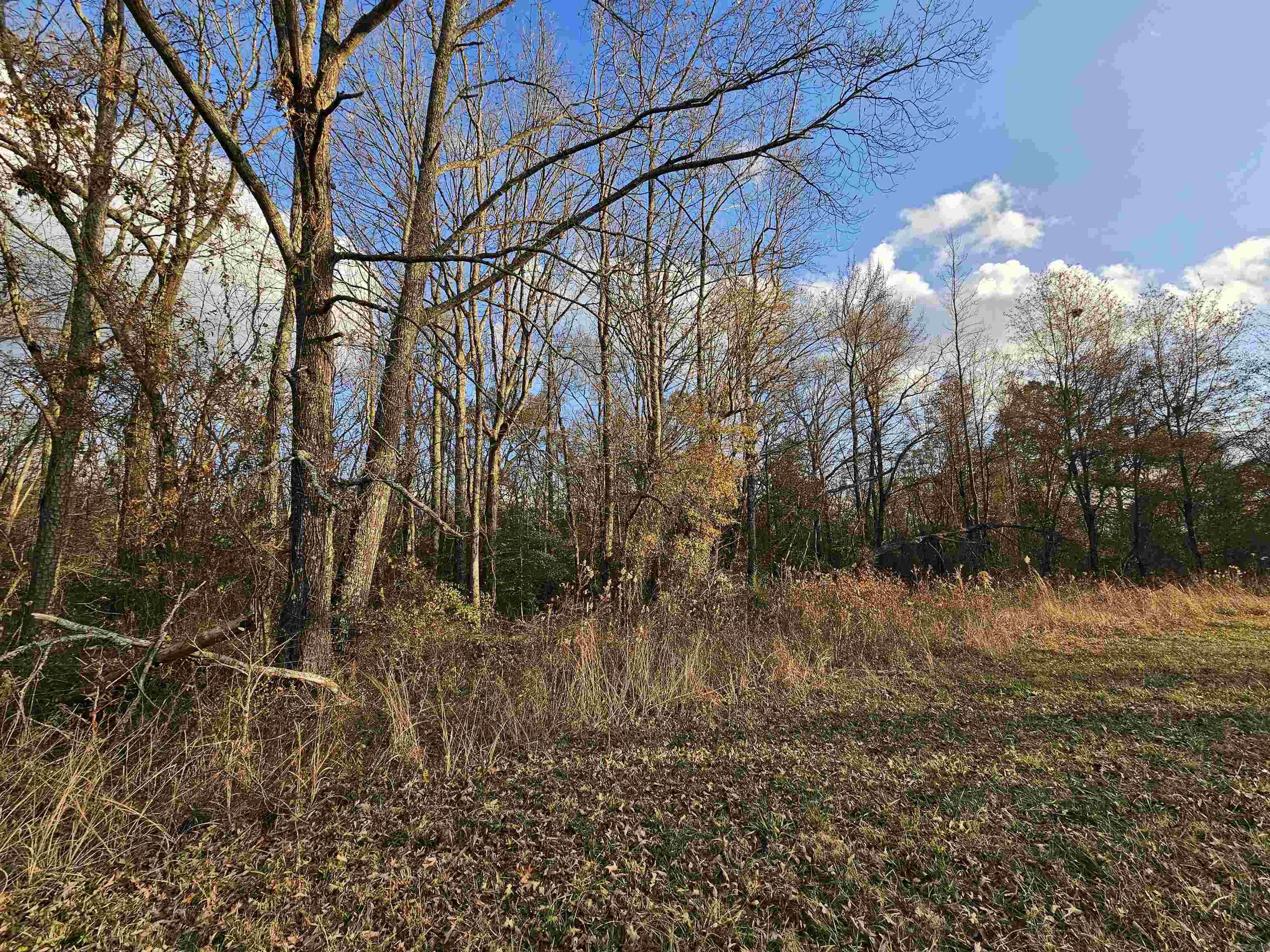 Unk Gilbert  Mena, AR