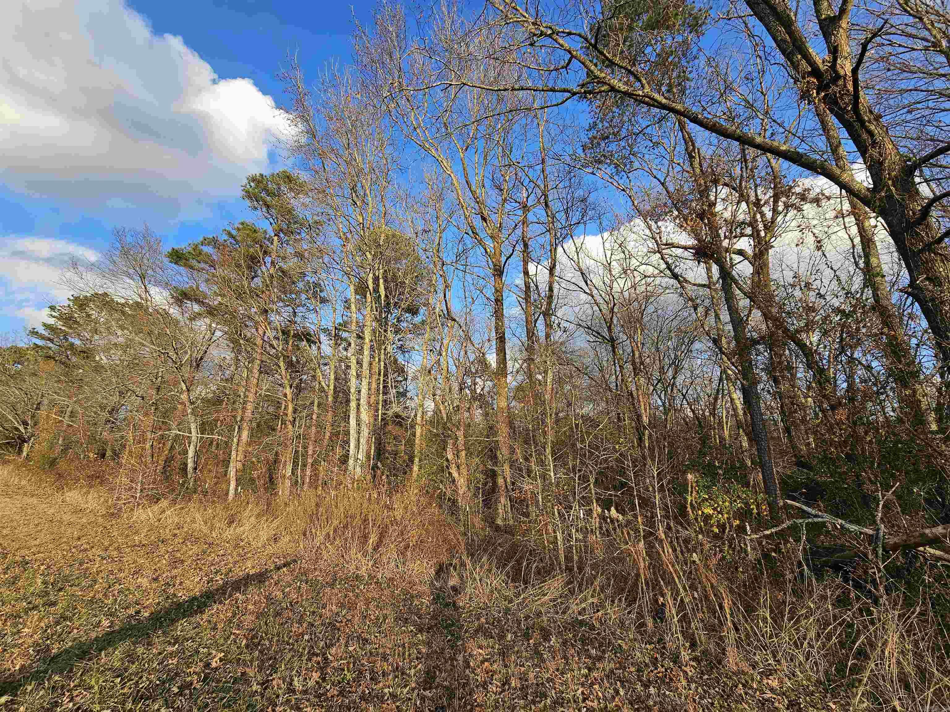 Unk Gilbert  Mena, AR