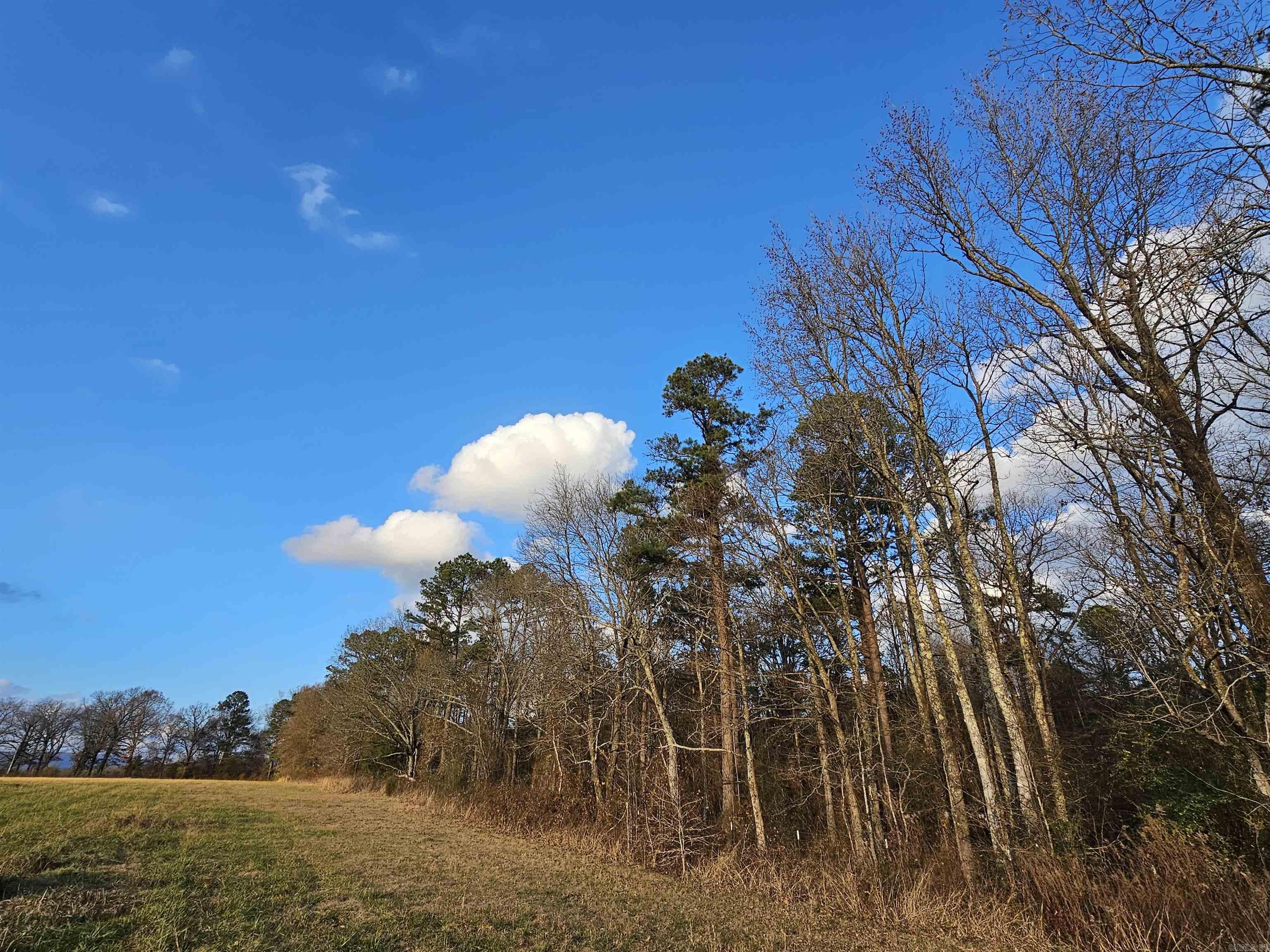 Unk Gilbert  Mena, AR