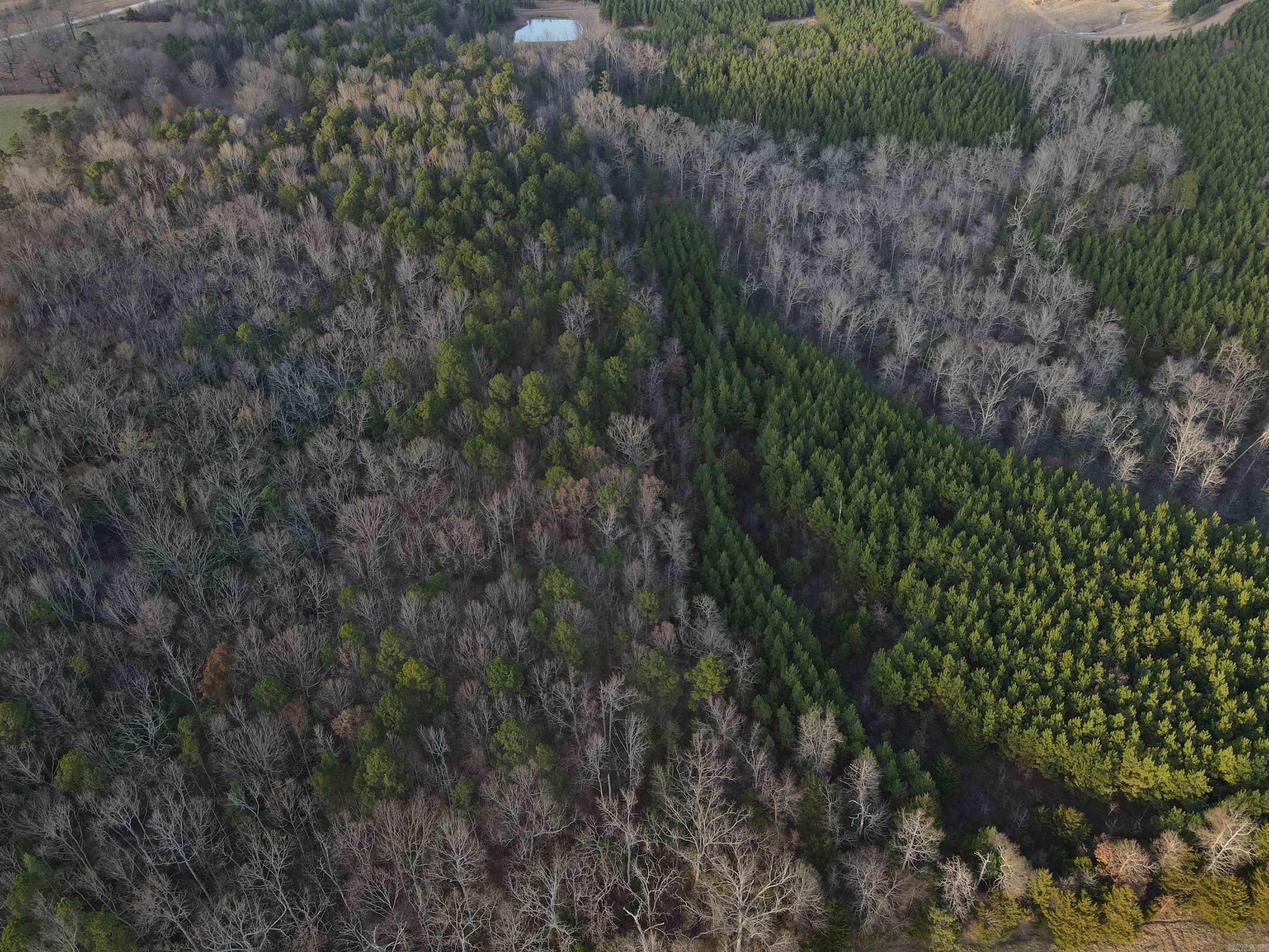 Unk Gilbert  Mena, AR