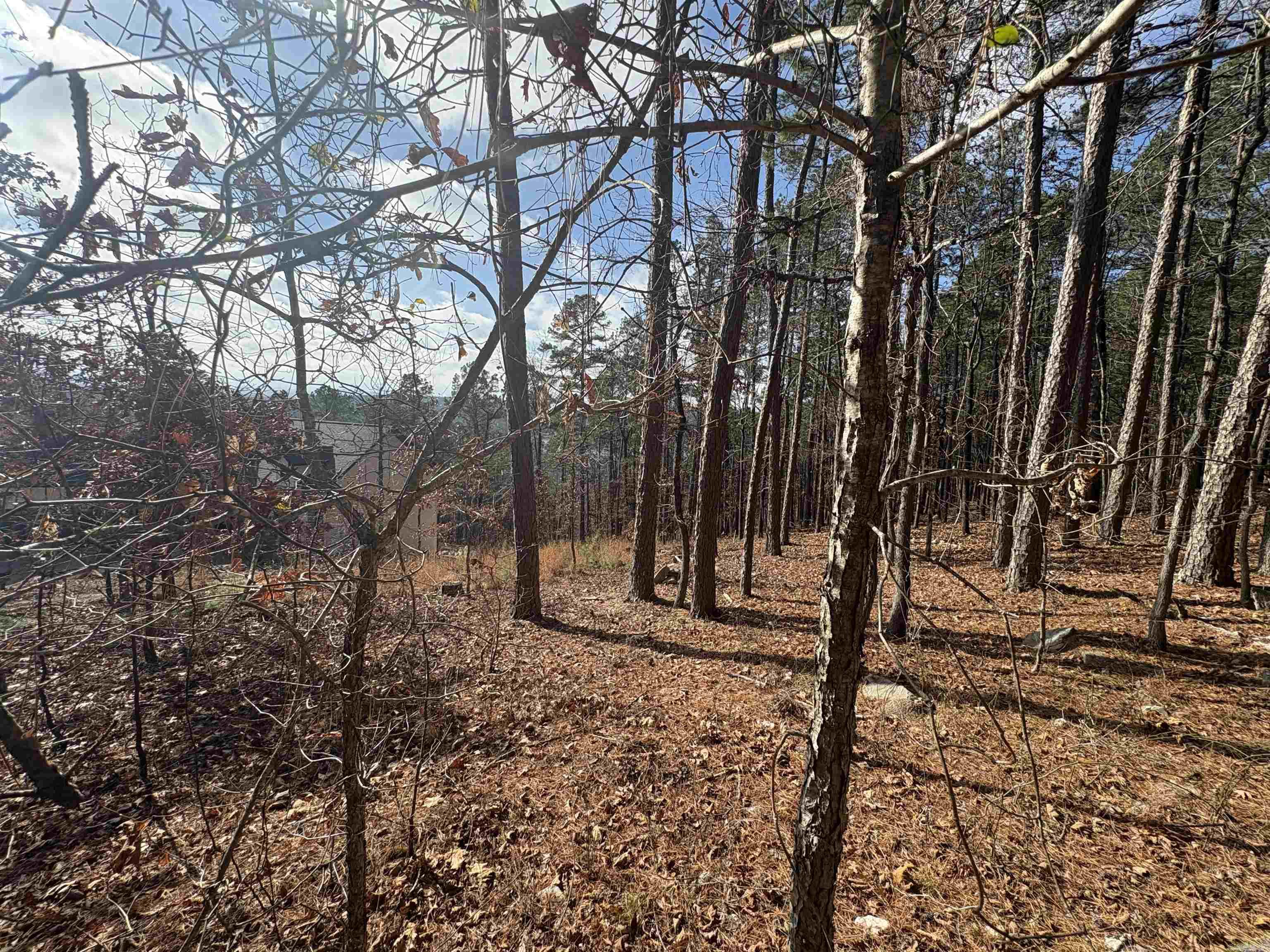 2 Giralda Ln  Hot Springs Village, AR