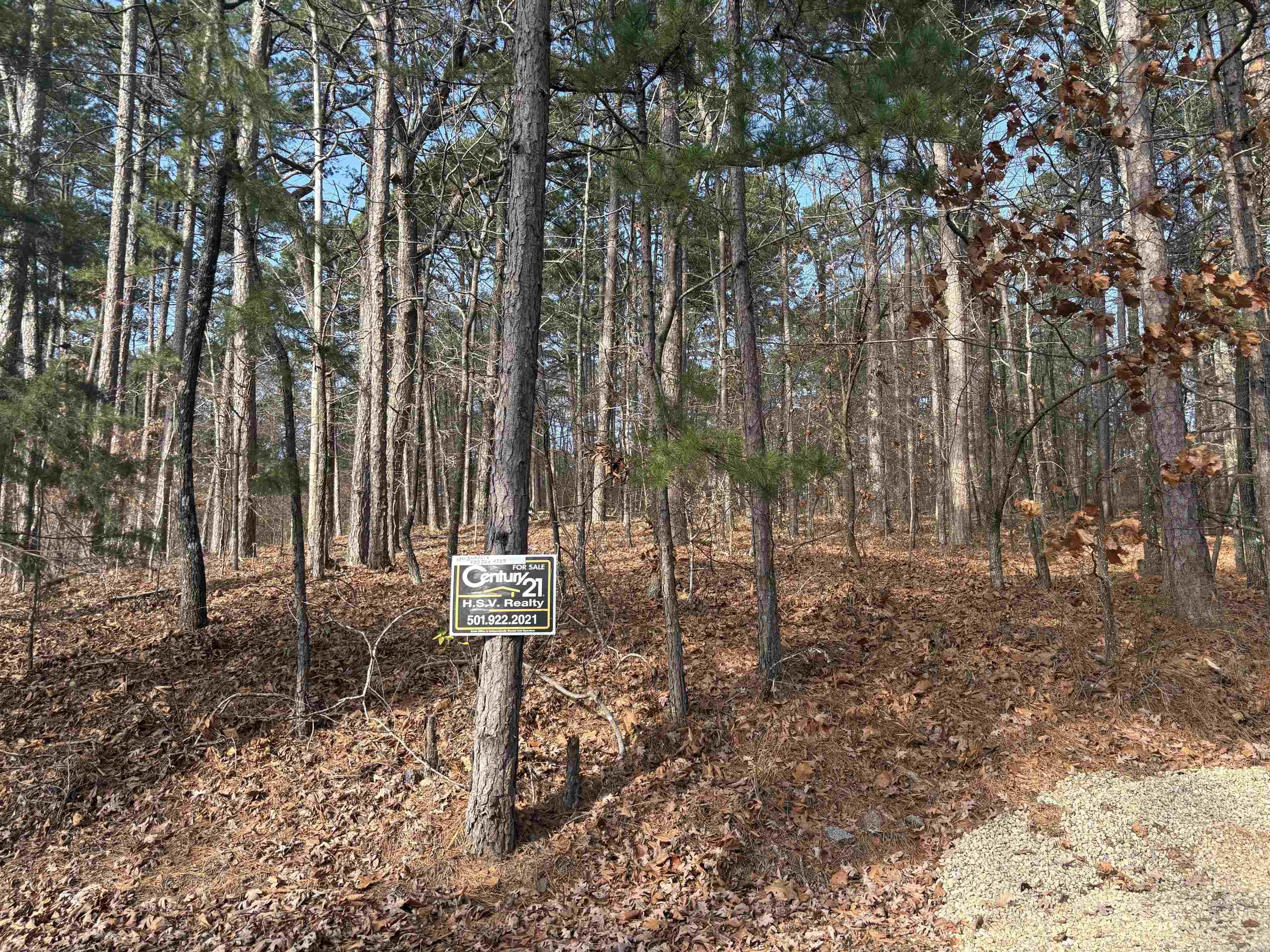 2 Giralda Ln  Hot Springs Village, AR