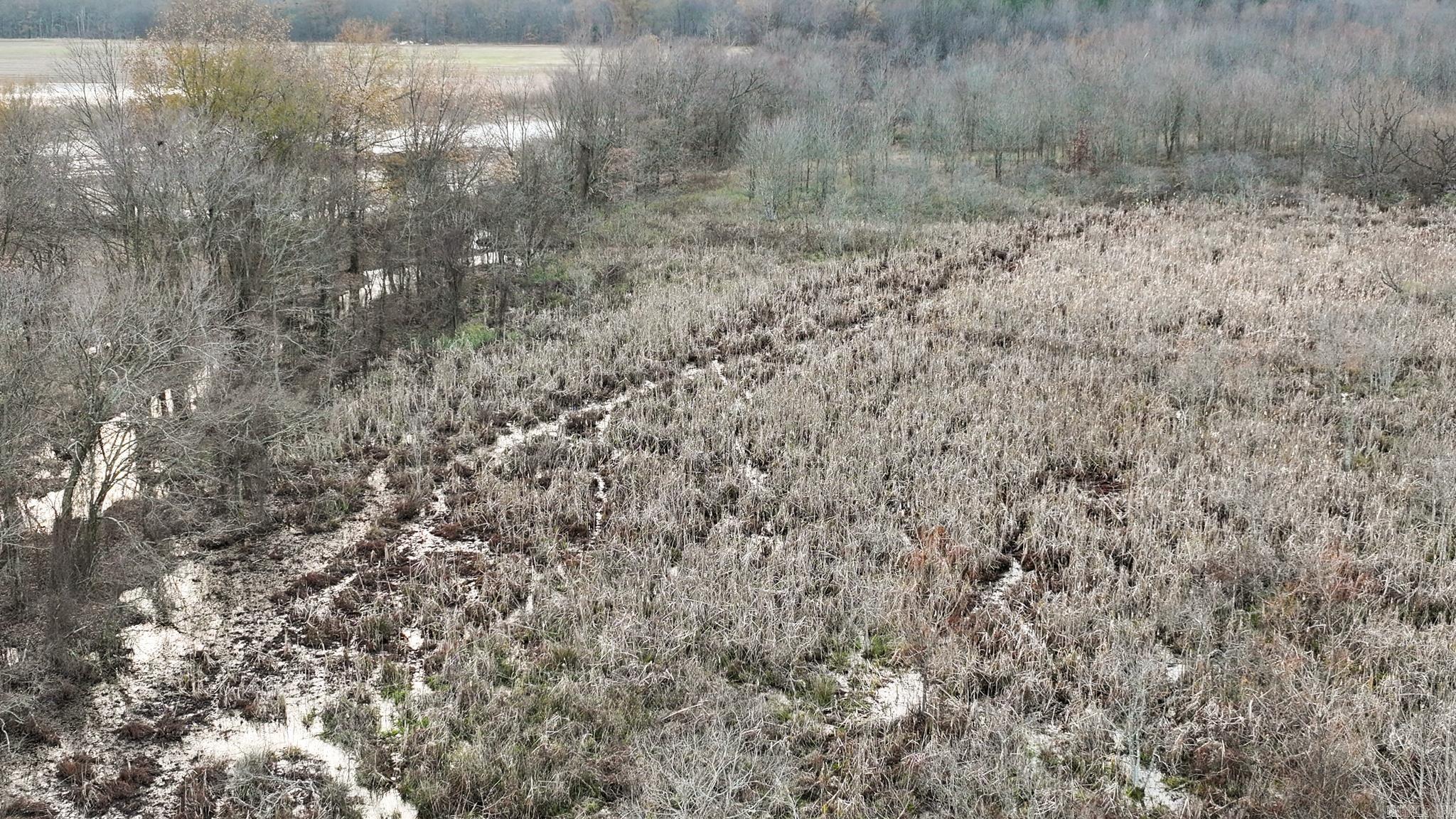  Shiloh Cemetary Rd.  Holly Grove, AR
