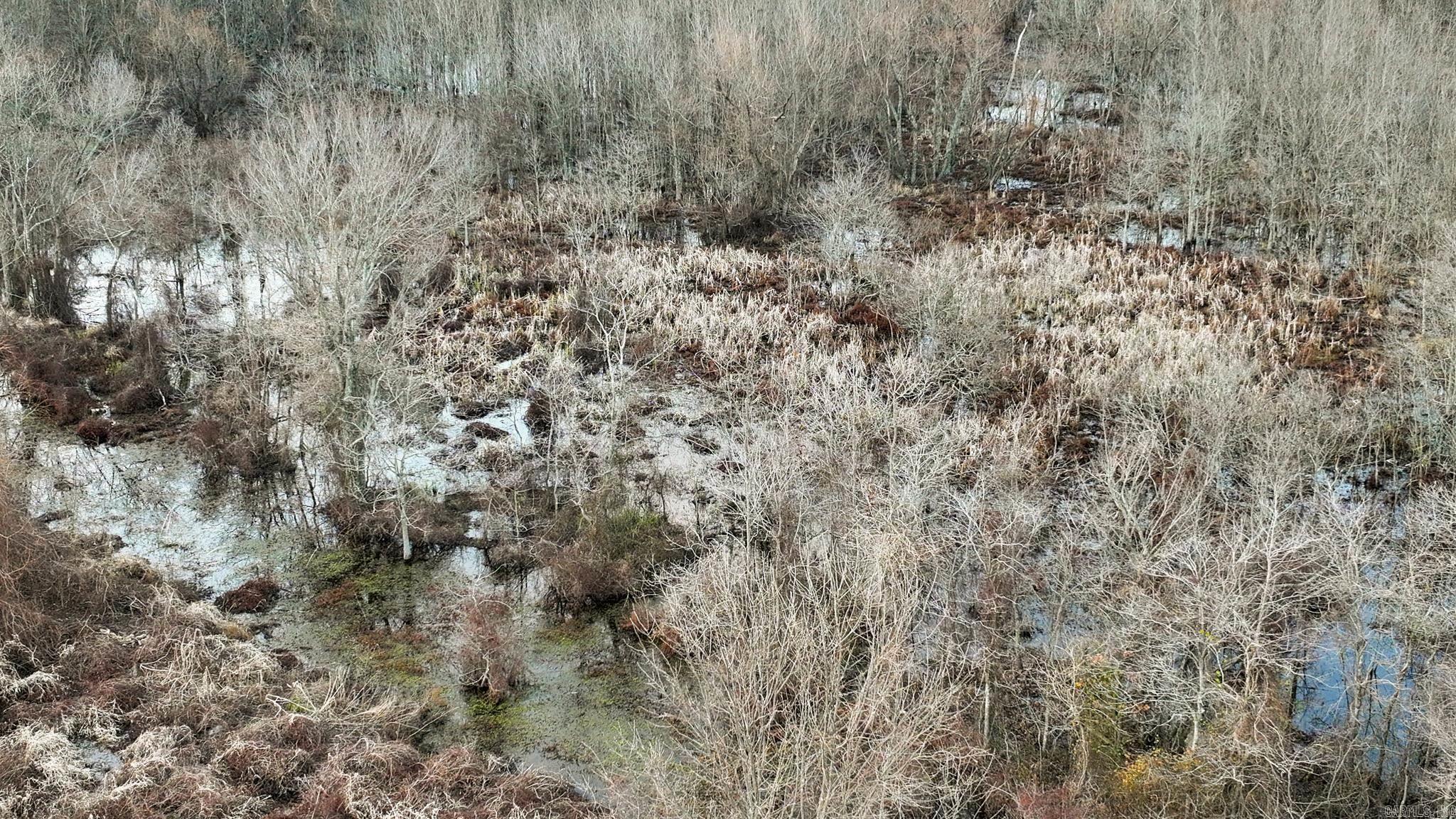  Shiloh Cemetary Rd.  Holly Grove, AR