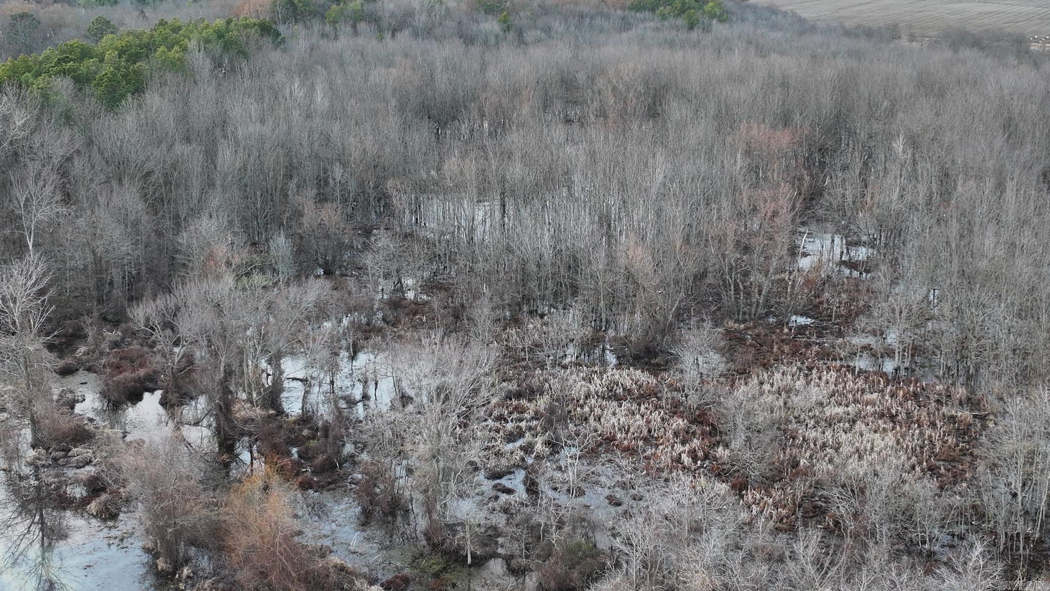  Shiloh Cemetary Rd.  Holly Grove, AR