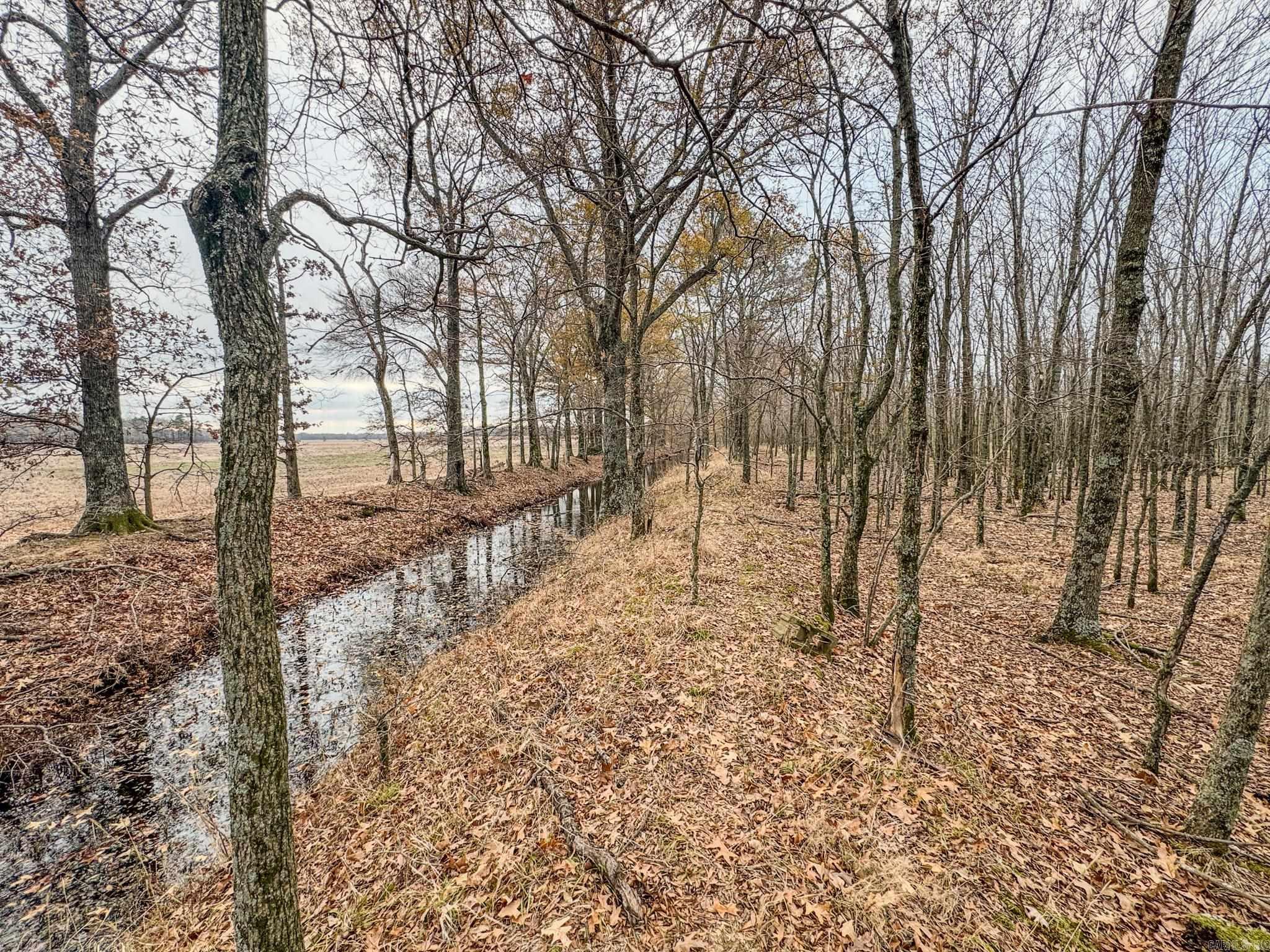  Shiloh Cemetary Rd.  Holly Grove, AR