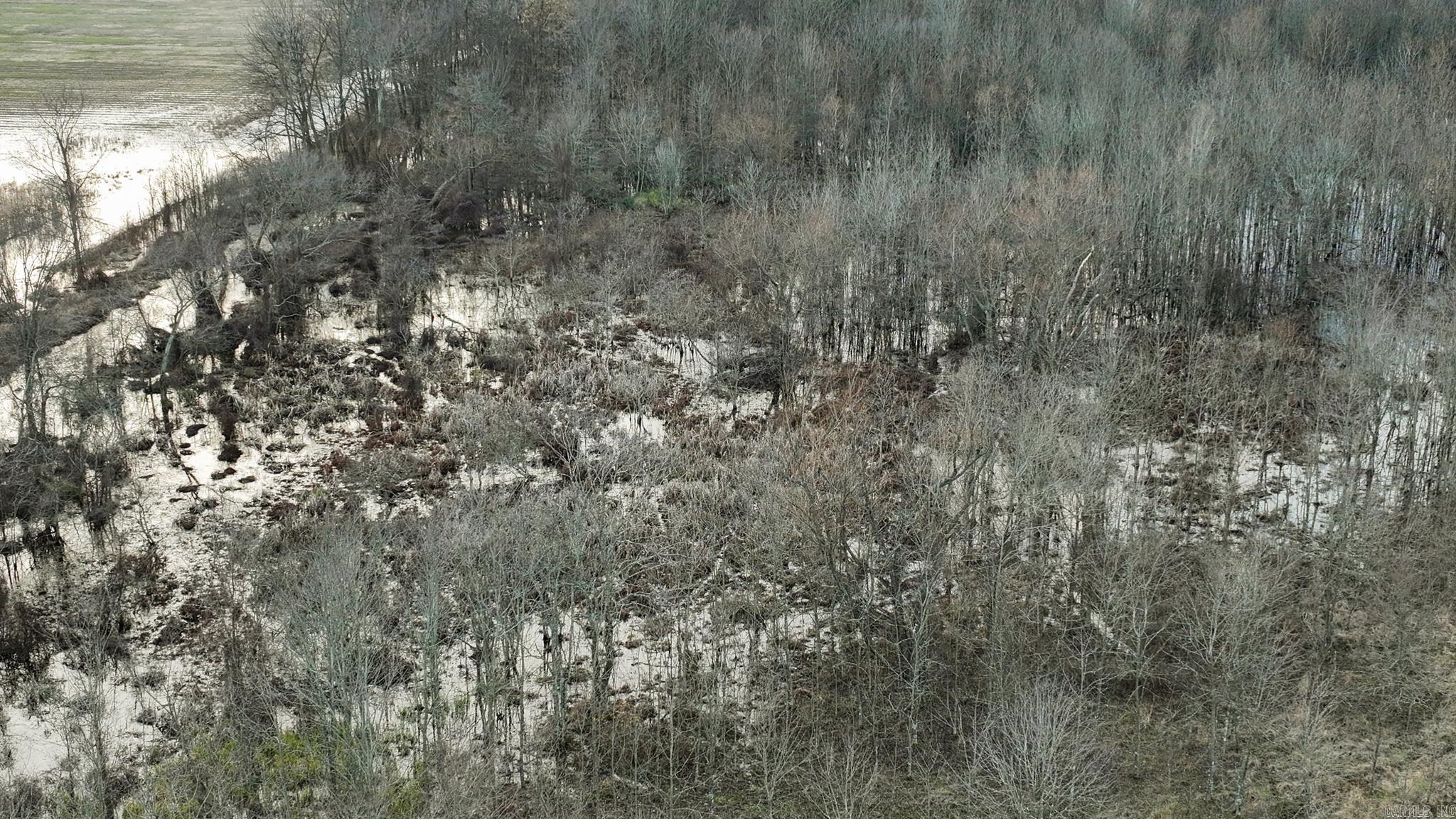  Shiloh Cemetary Rd.  Holly Grove, AR