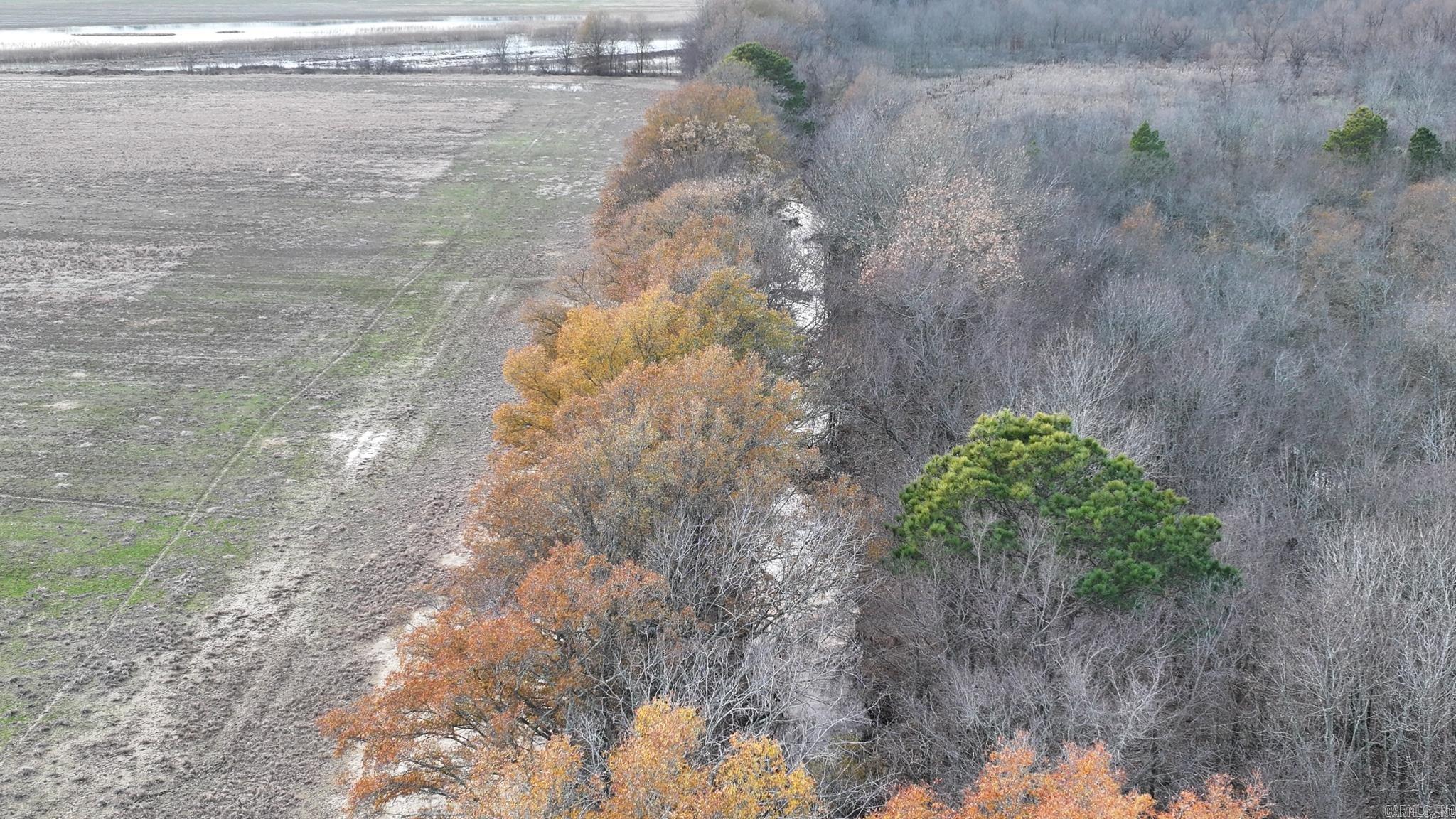  Shiloh Cemetary Rd.  Holly Grove, AR