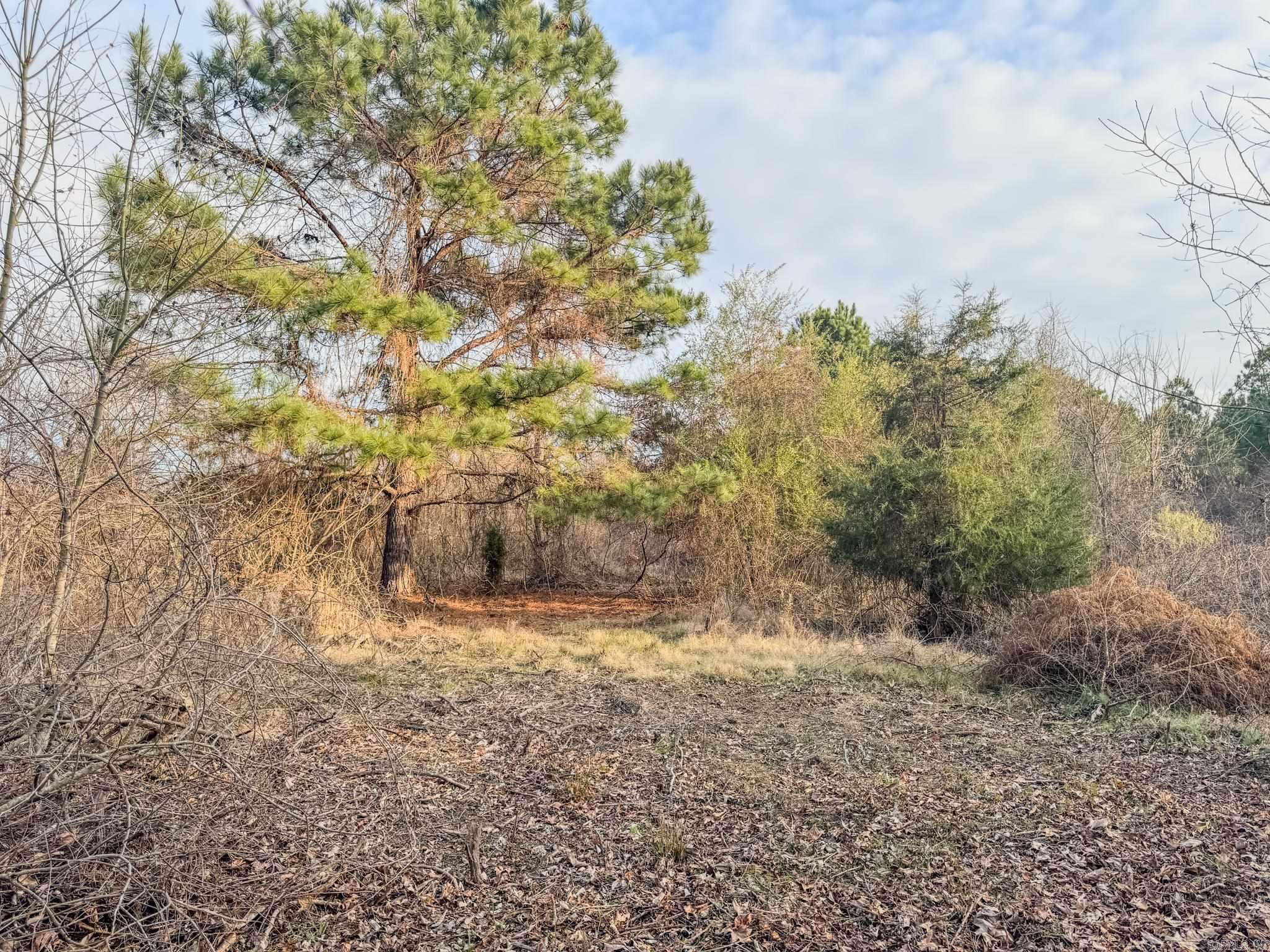  Shiloh Cemetary Rd.  Holly Grove, AR