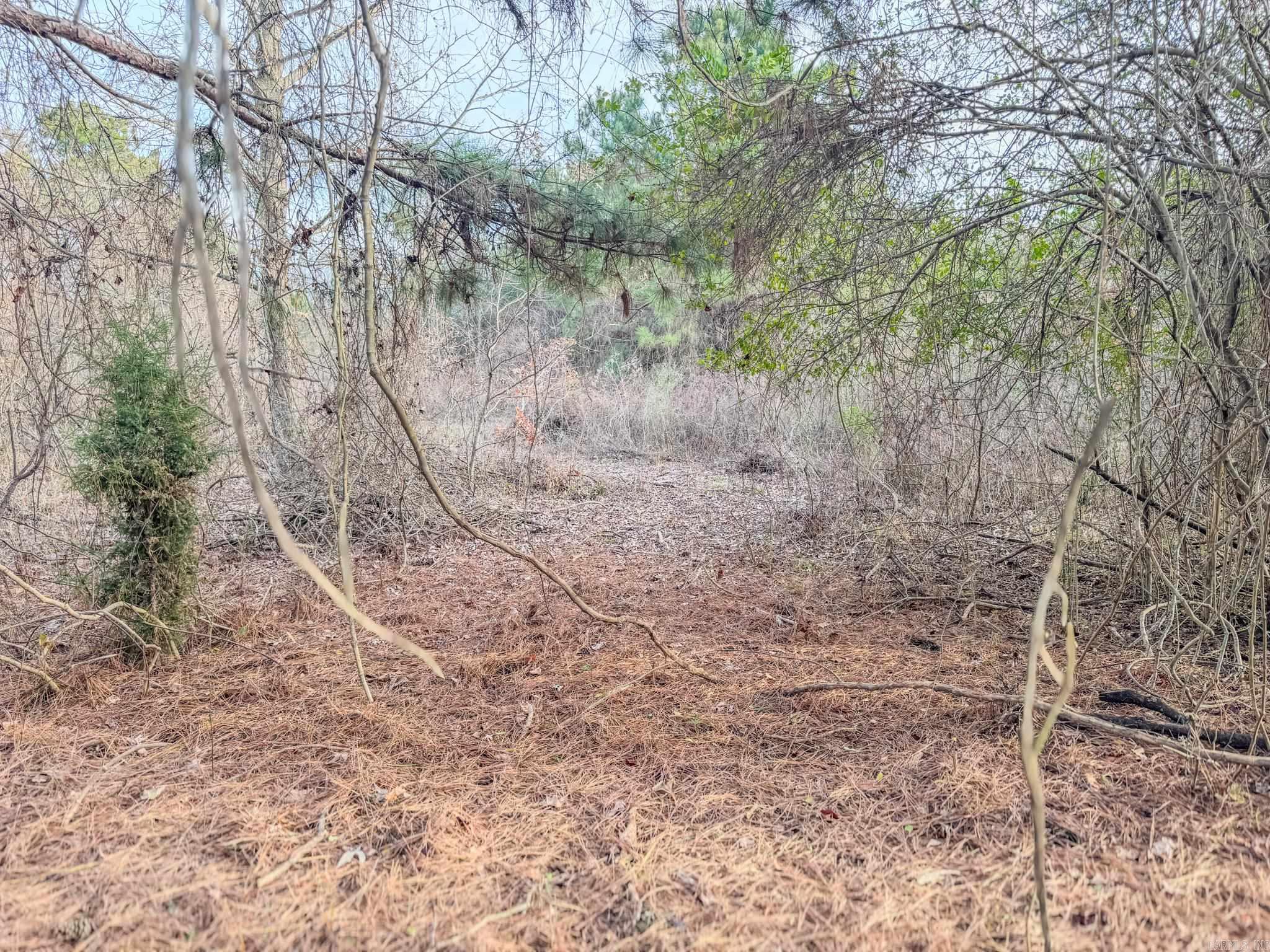  Shiloh Cemetary Rd.  Holly Grove, AR