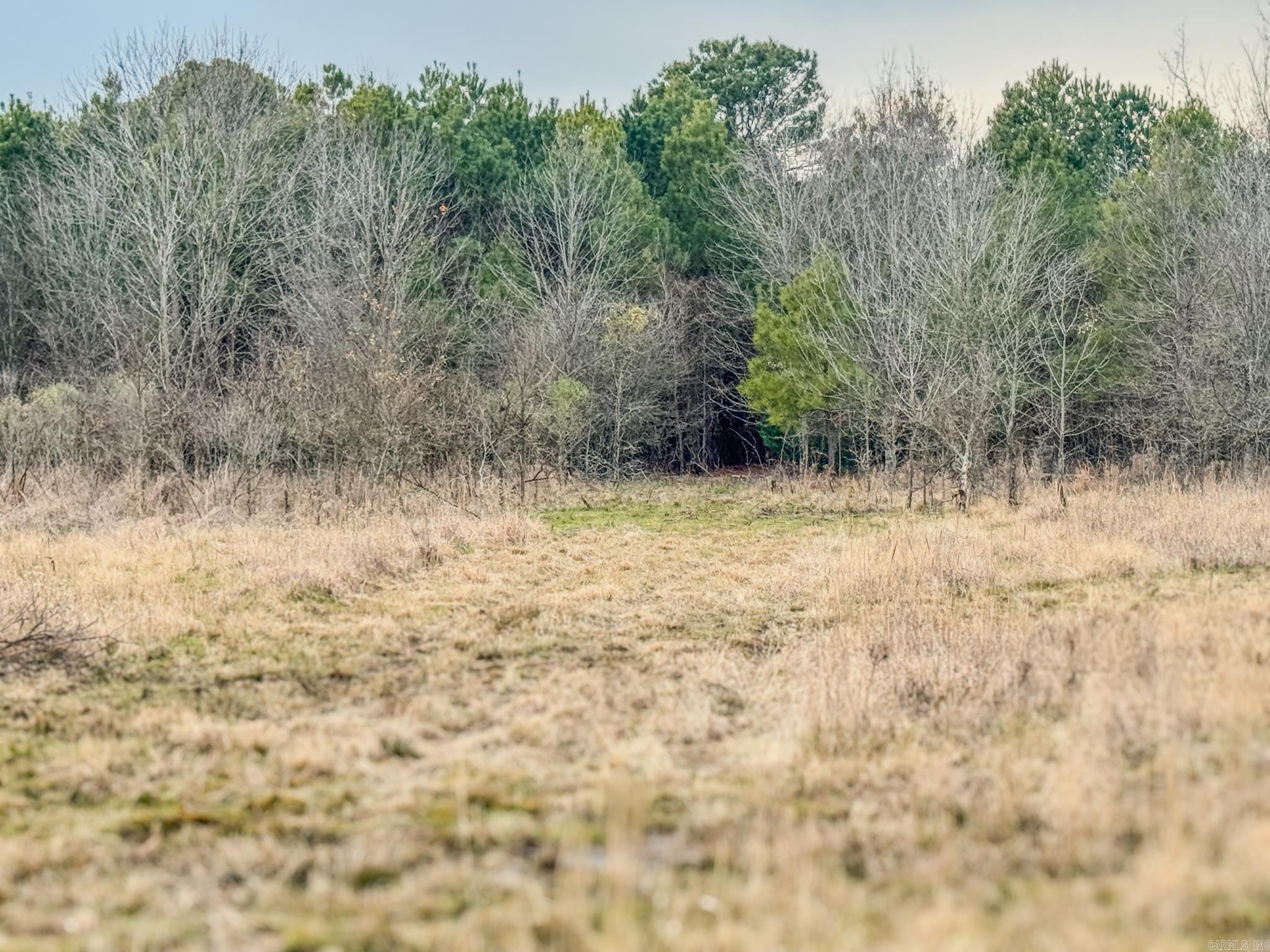  Shiloh Cemetary Rd.  Holly Grove, AR