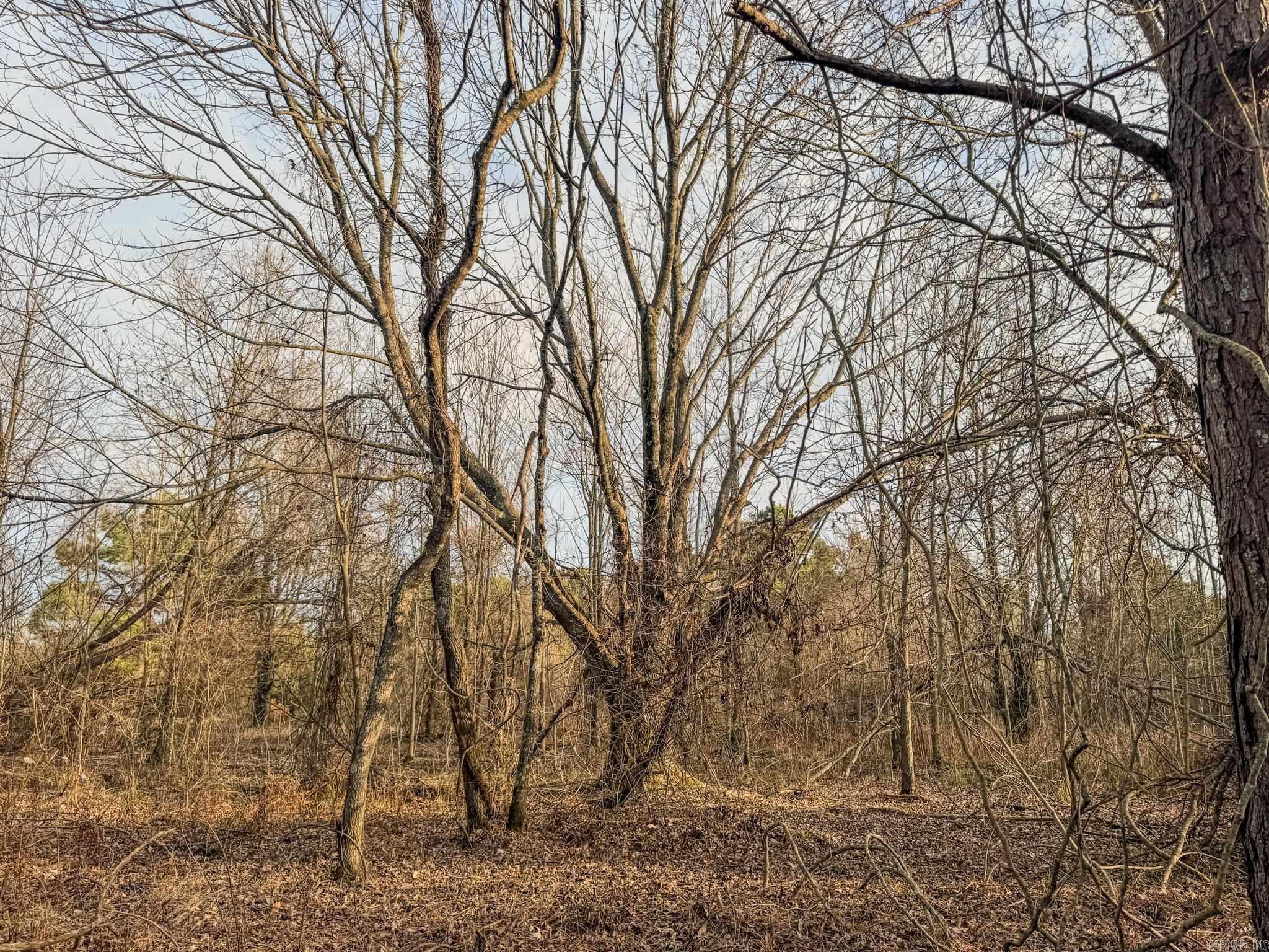  Shiloh Cemetary Rd.  Holly Grove, AR