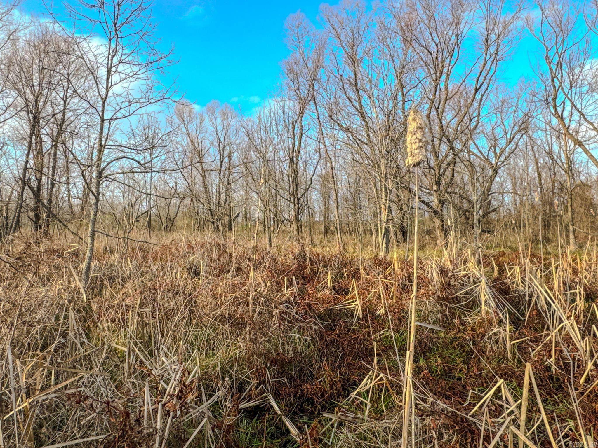  Shiloh Cemetary Rd.  Holly Grove, AR