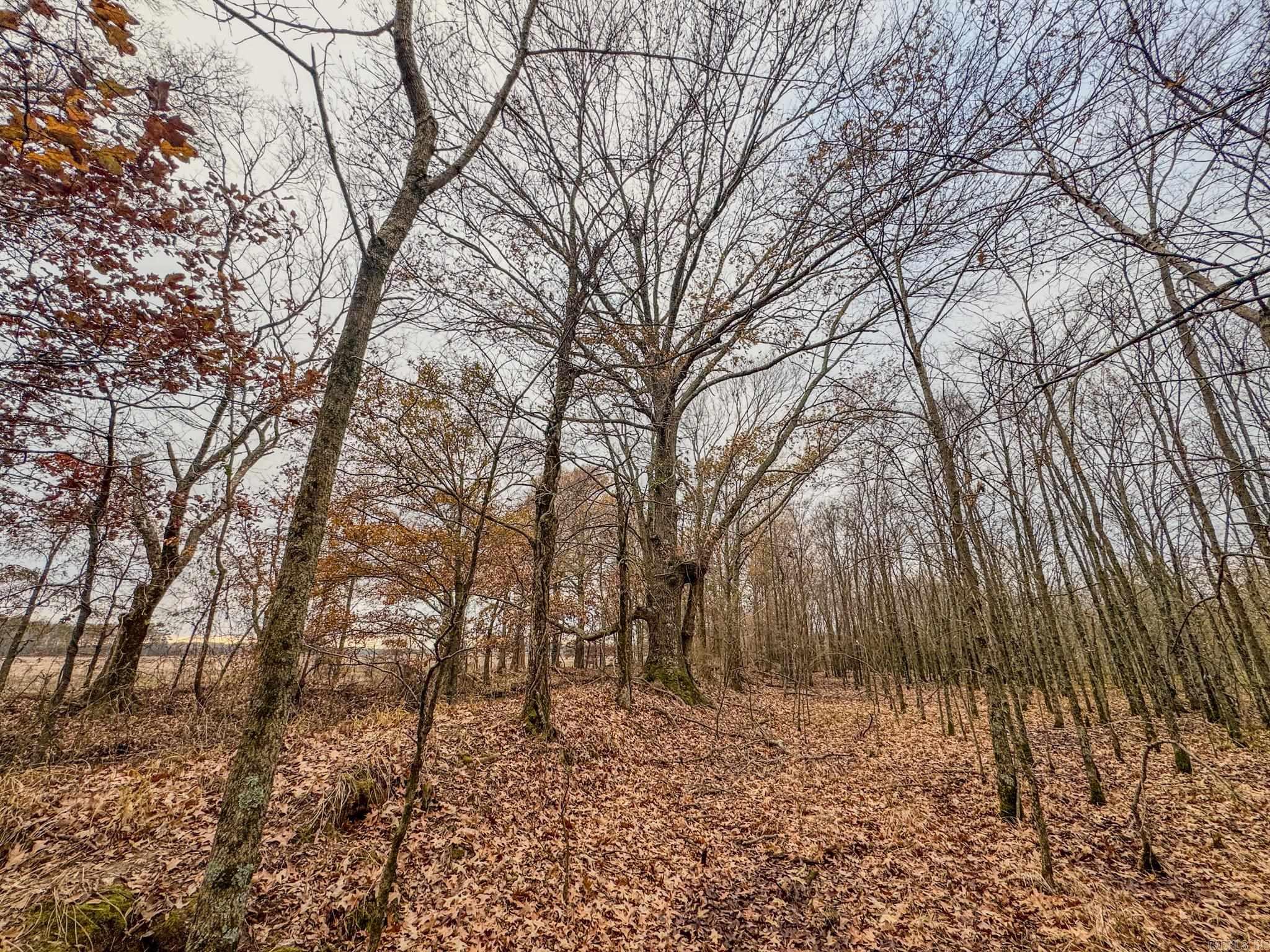  Shiloh Cemetary Rd.  Holly Grove, AR