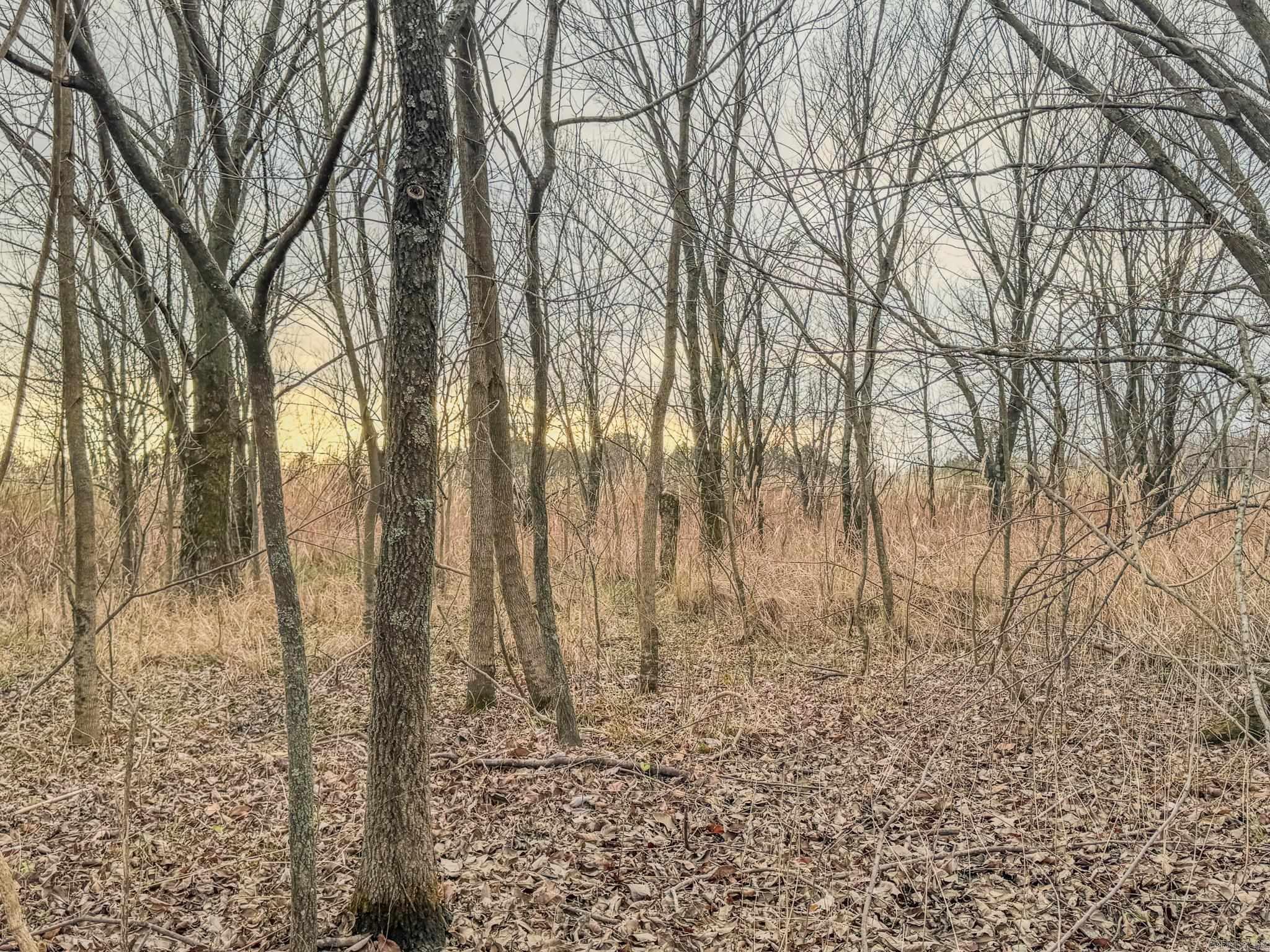  Shiloh Cemetary Rd.  Holly Grove, AR