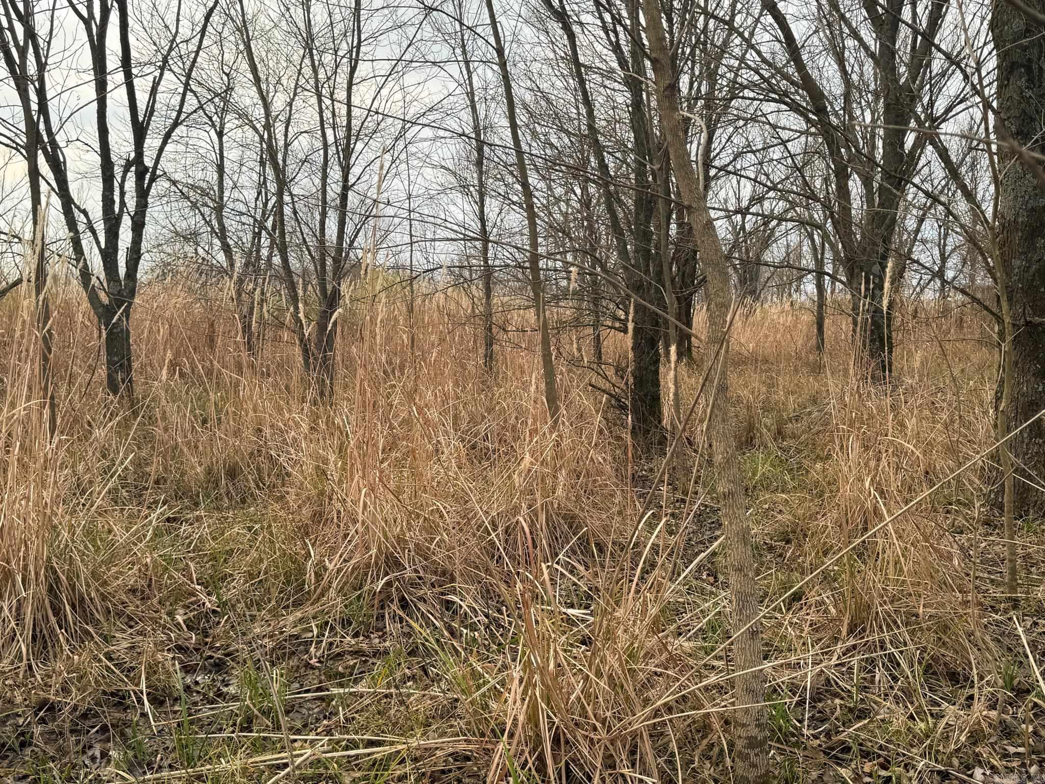  Shiloh Cemetary Rd.  Holly Grove, AR