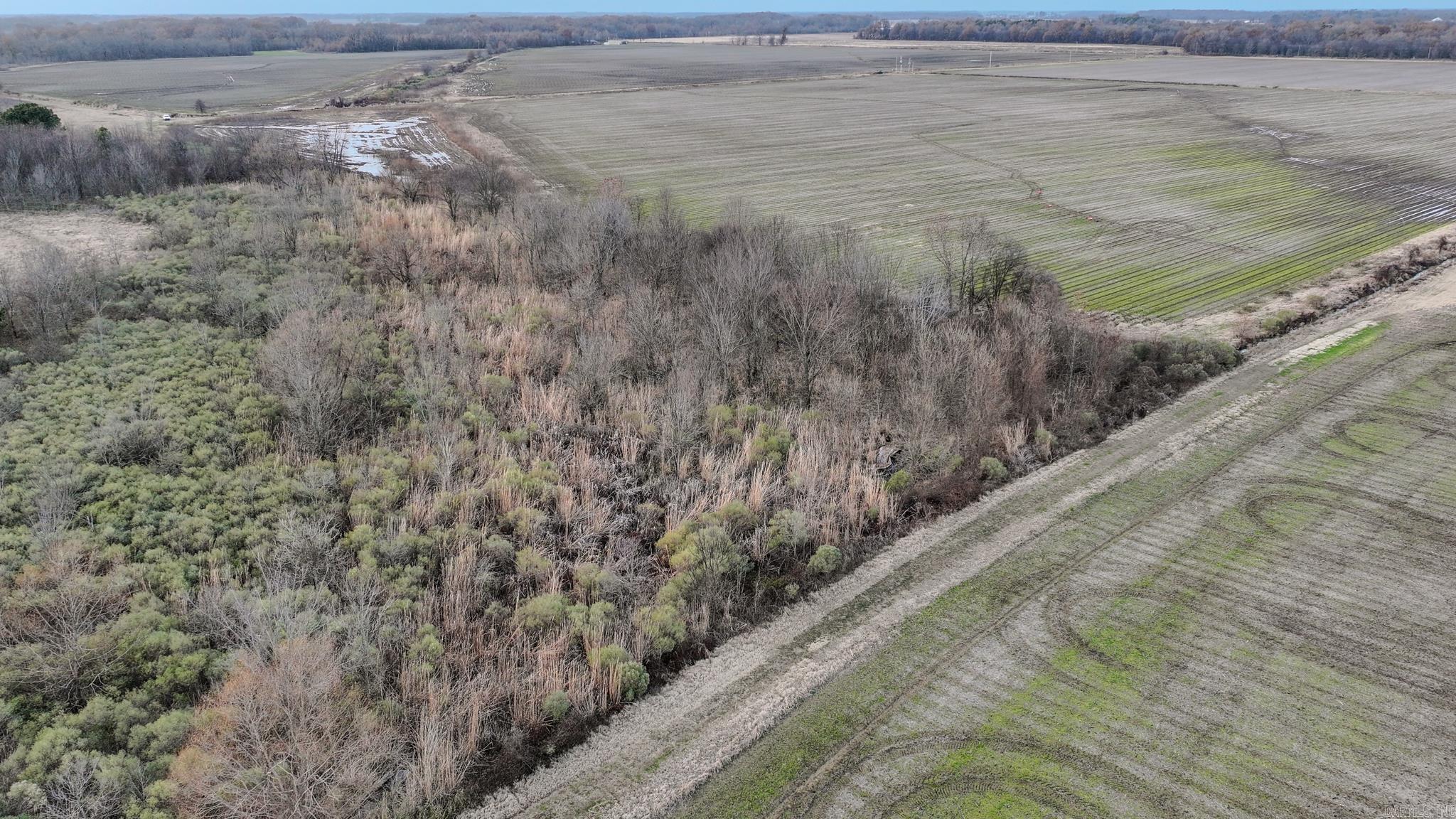  Shiloh Cemetary Rd.  Holly Grove, AR