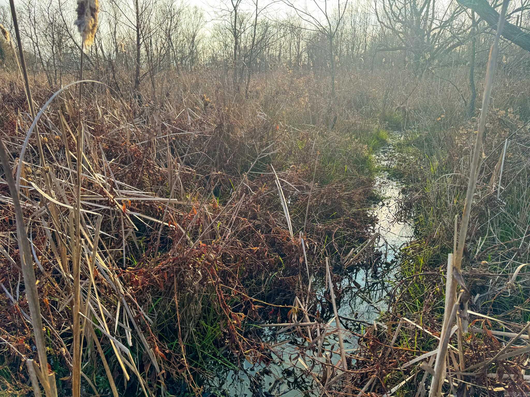  Shiloh Cemetary Rd.  Holly Grove, AR
