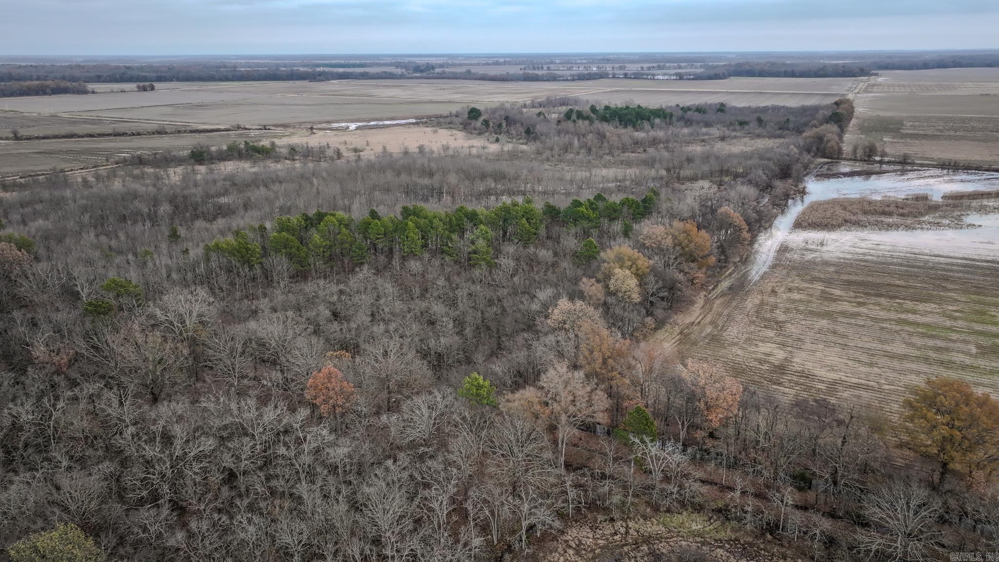 Shiloh Cemetary Rd.  Holly Grove, AR