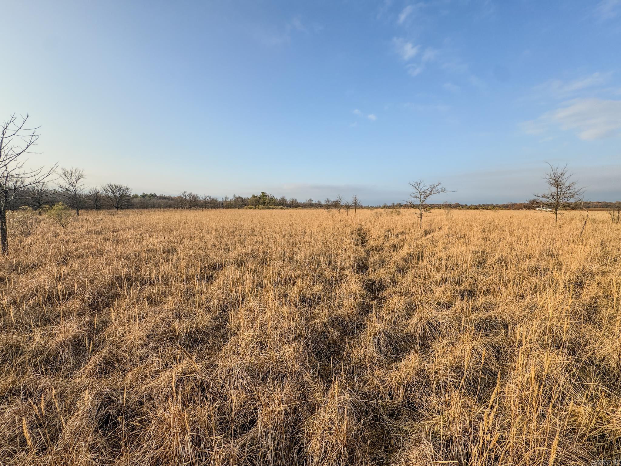  Shiloh Cemetary Rd.  Holly Grove, AR