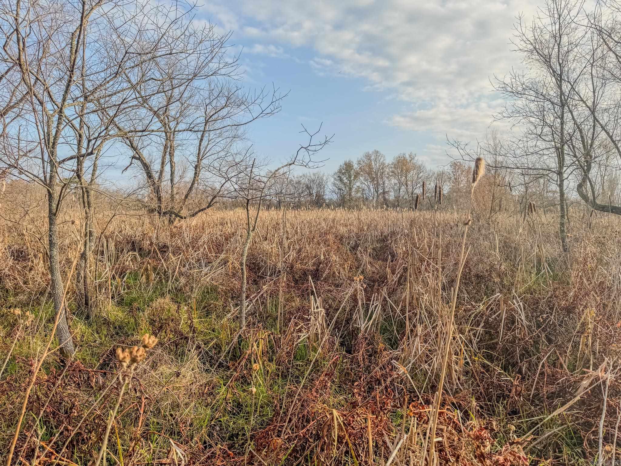  Shiloh Cemetary Rd.  Holly Grove, AR