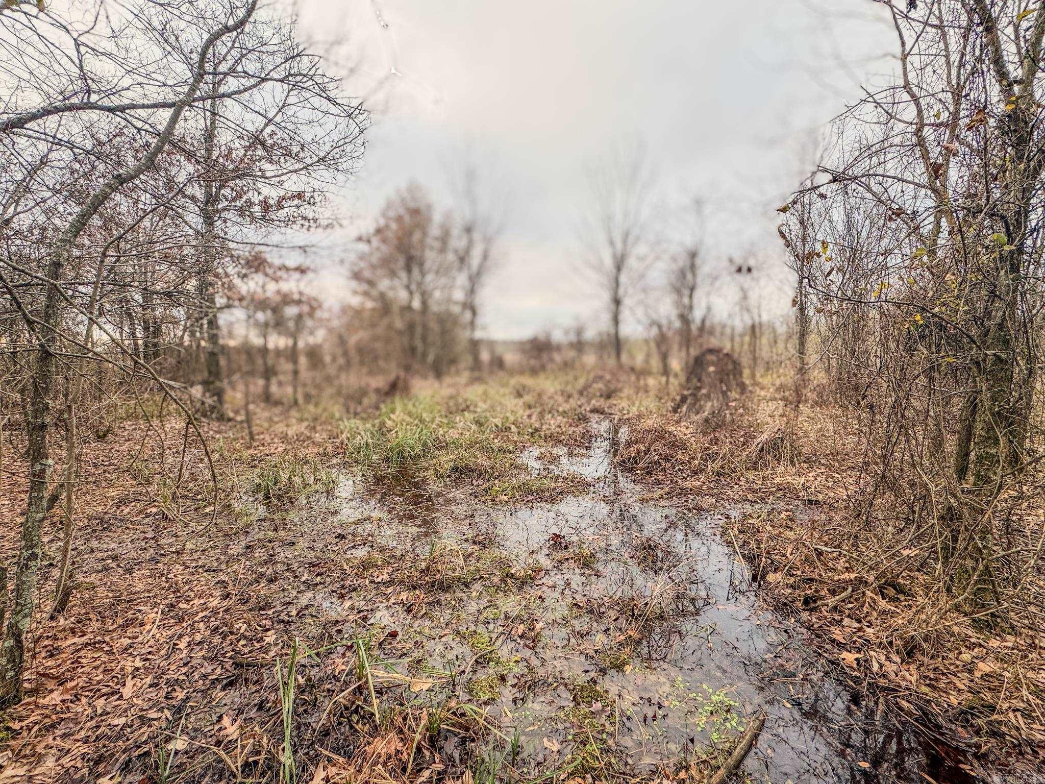  Shiloh Cemetary Rd.  Holly Grove, AR