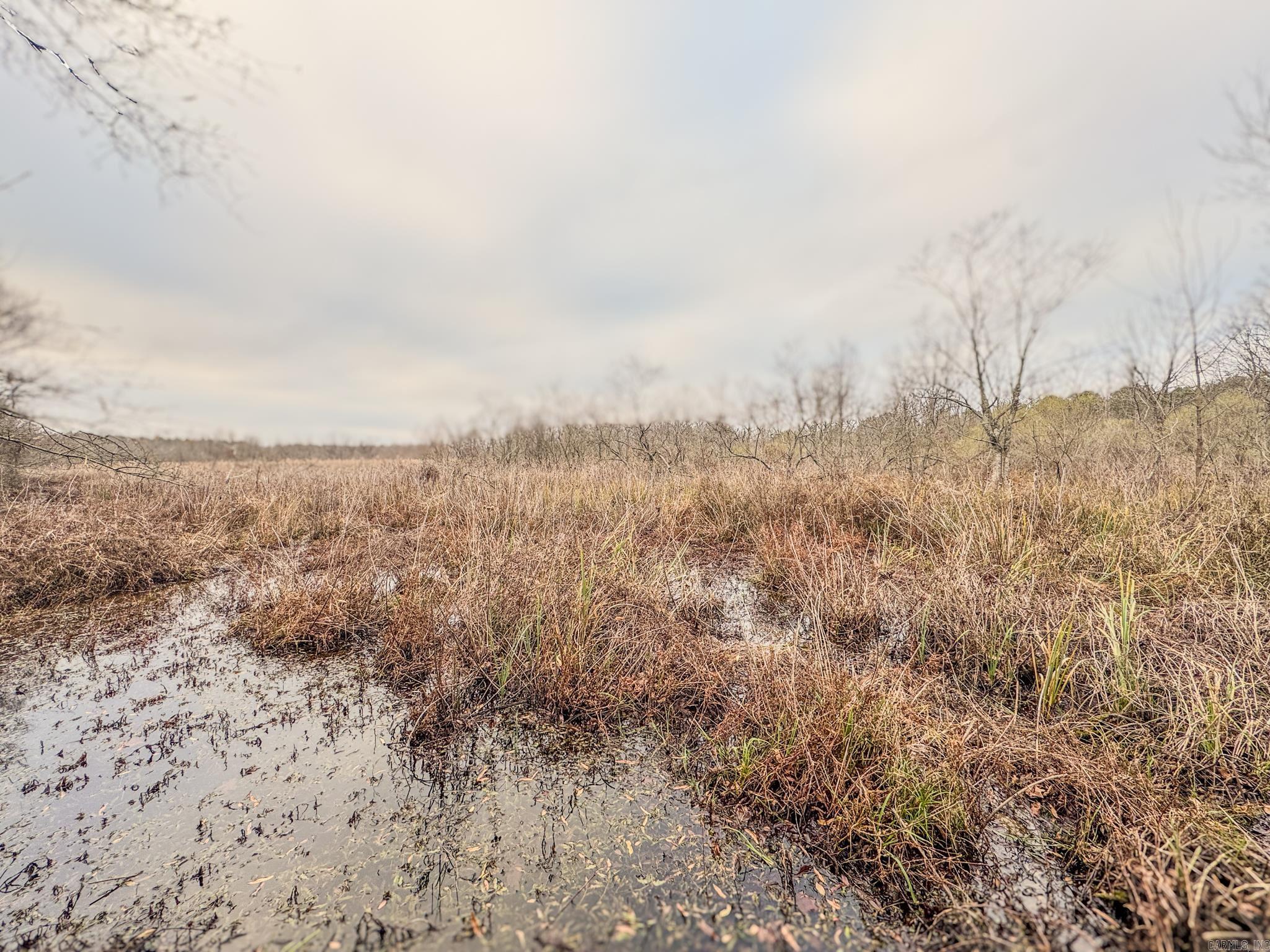  Shiloh Cemetary Rd.  Holly Grove, AR