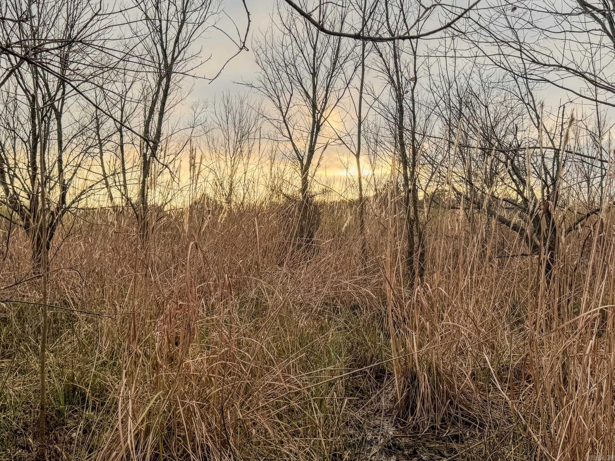  Shiloh Cemetary Rd.  Holly Grove, AR