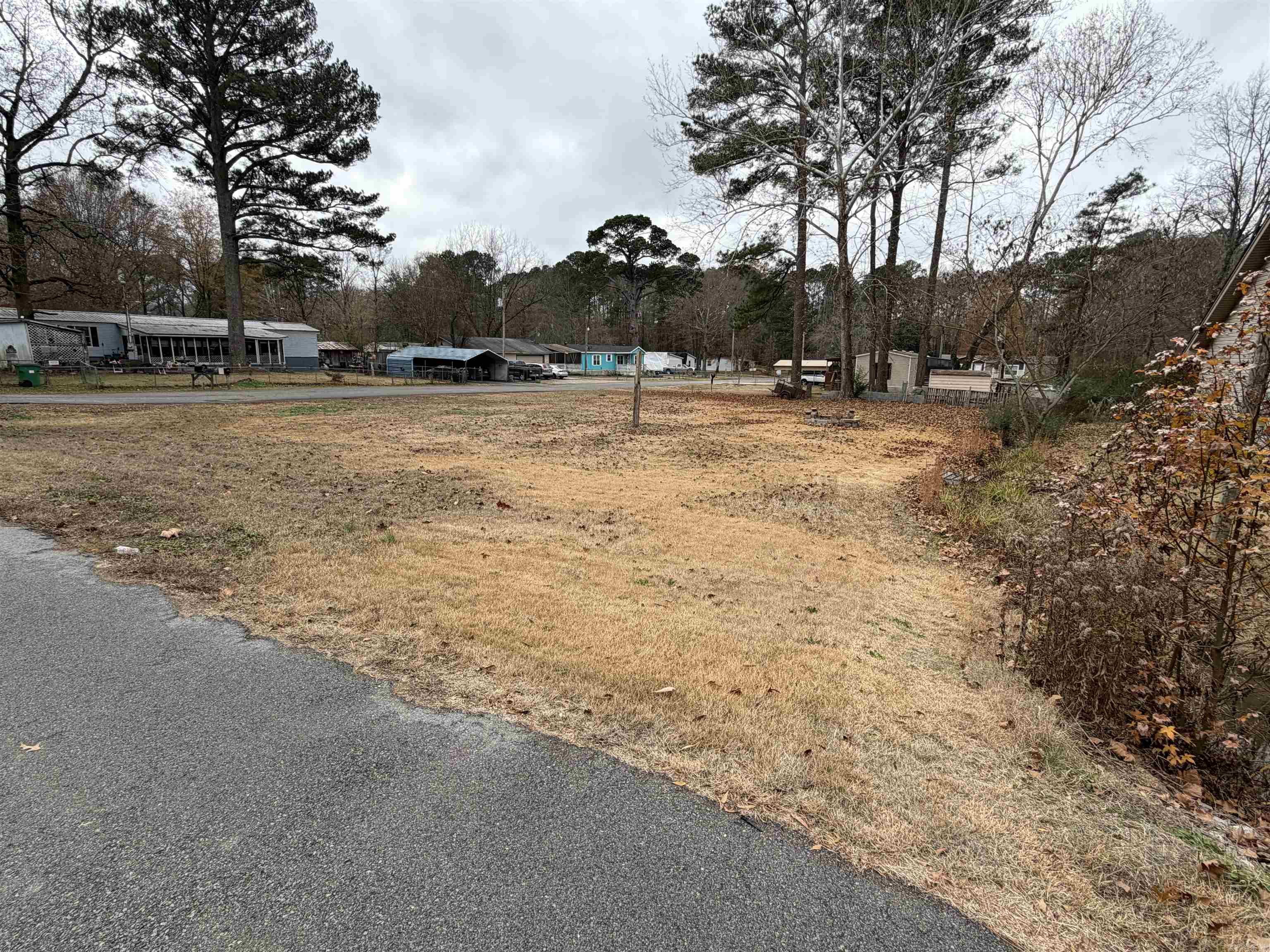 00 Single Pine  Shannon Hills, AR