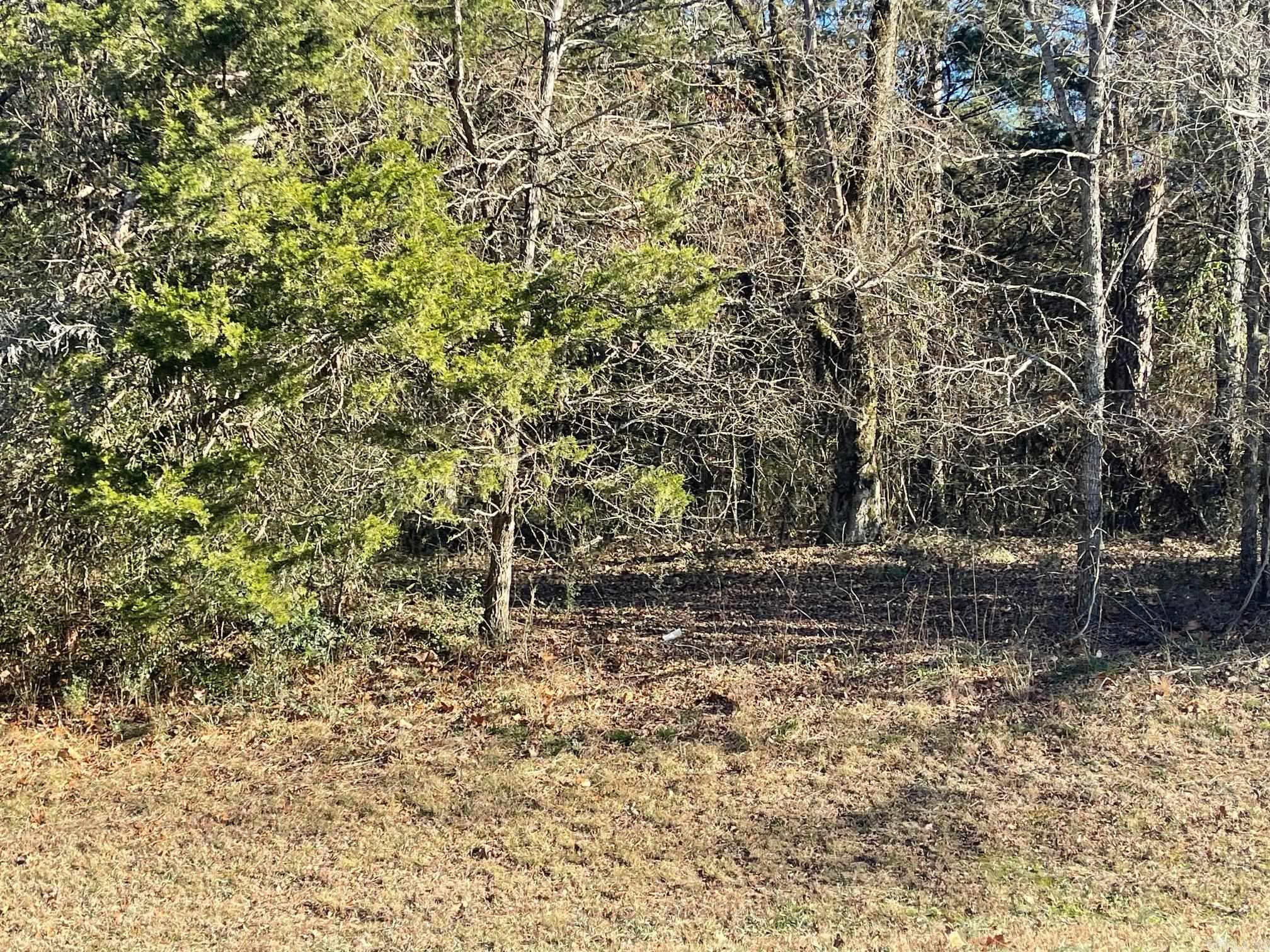 000 Hwy 330 South  Fairfield Bay, AR