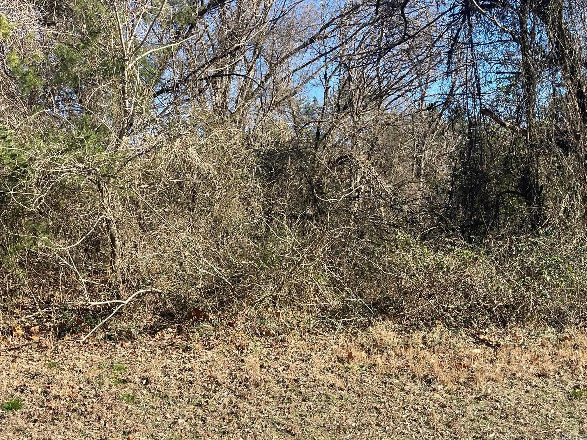 000 Hwy 330 South  Fairfield Bay, AR