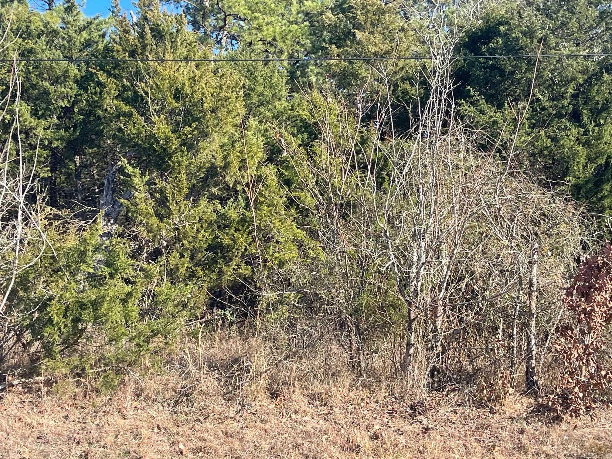 000 Hwy 330 South  Fairfield Bay, AR