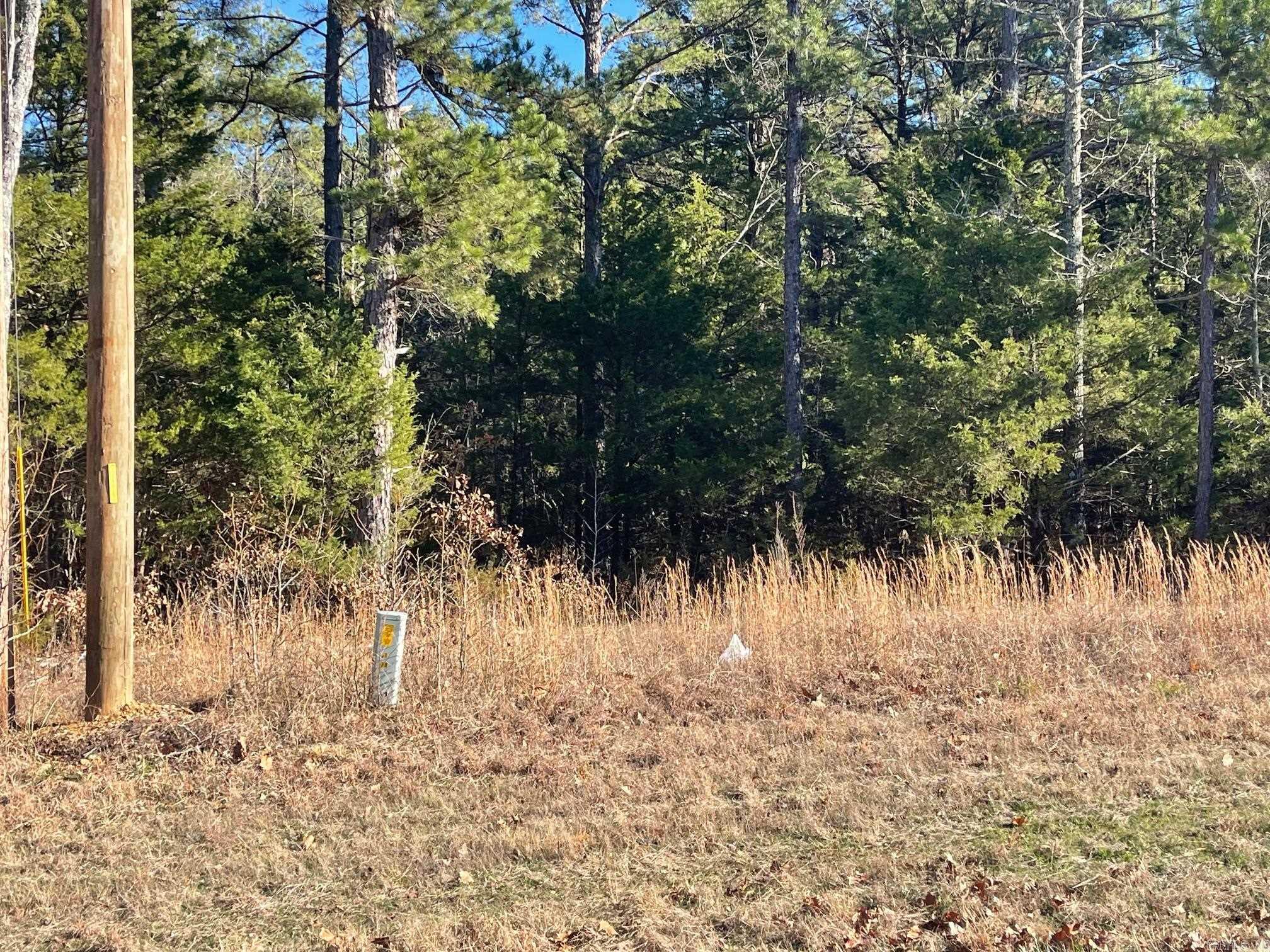 000 Hwy 330 South  Fairfield Bay, AR